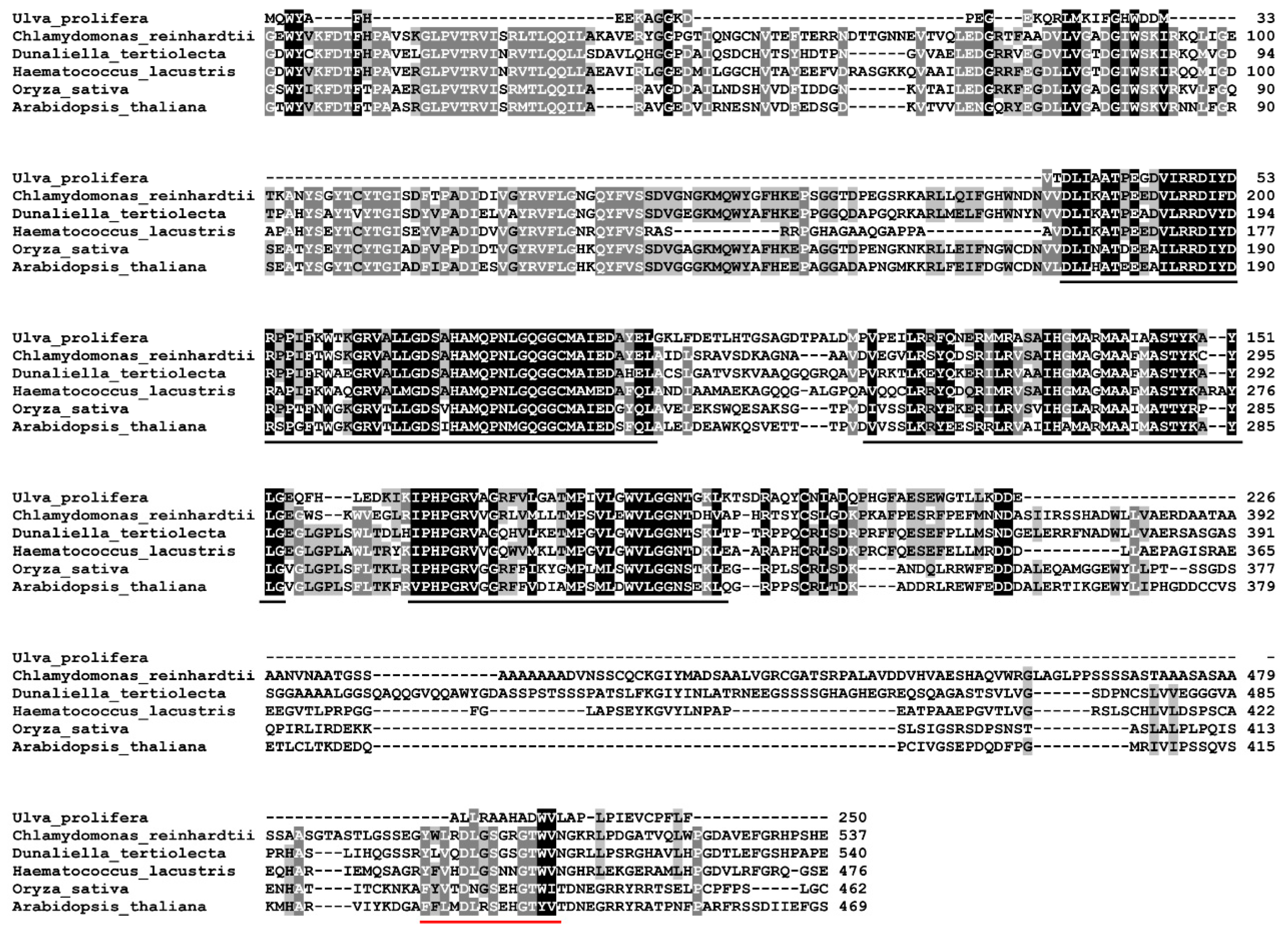 Biology 13 00695 g002
