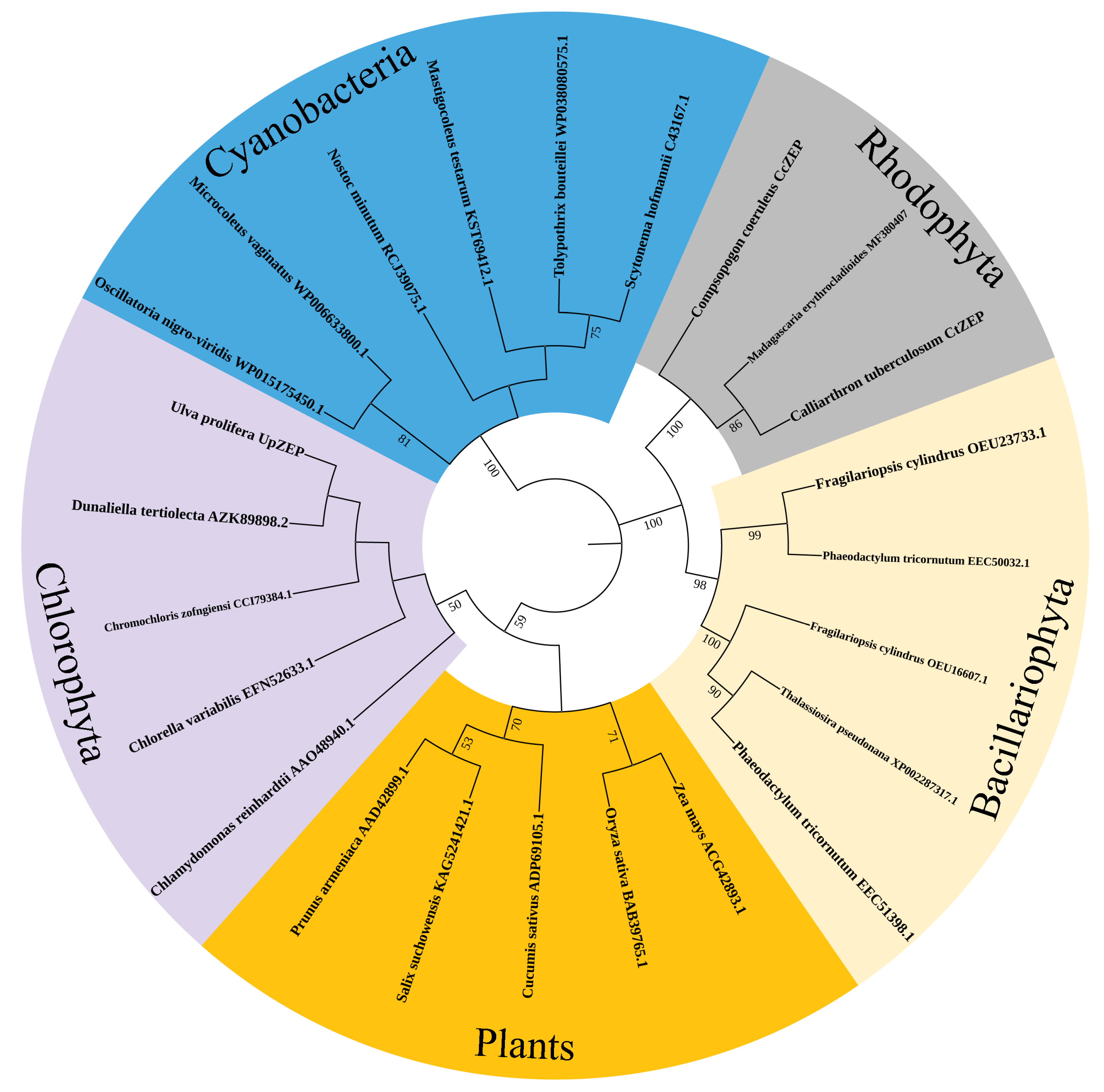 Biology 13 00695 g003