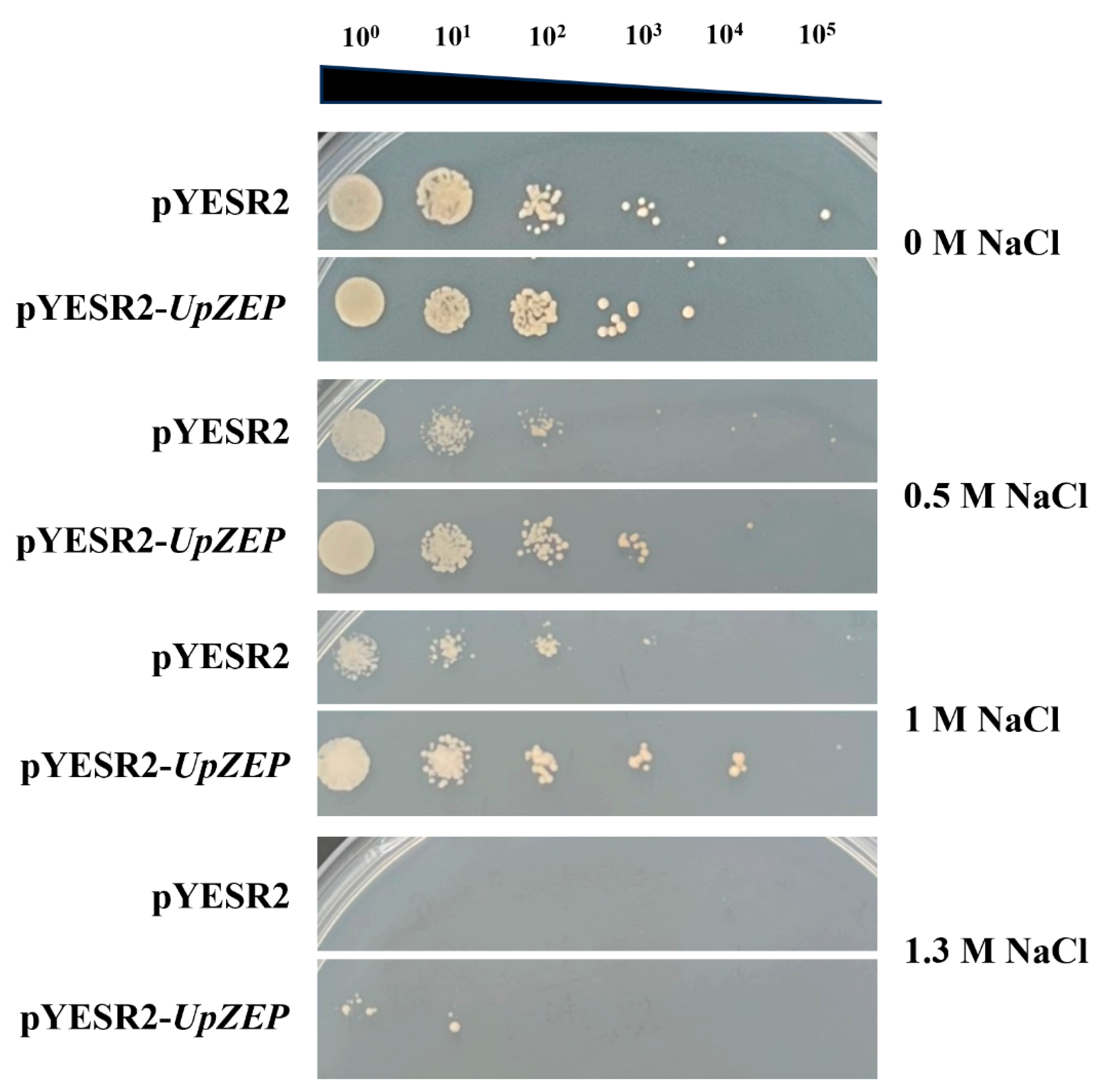 Biology 13 00695 g005