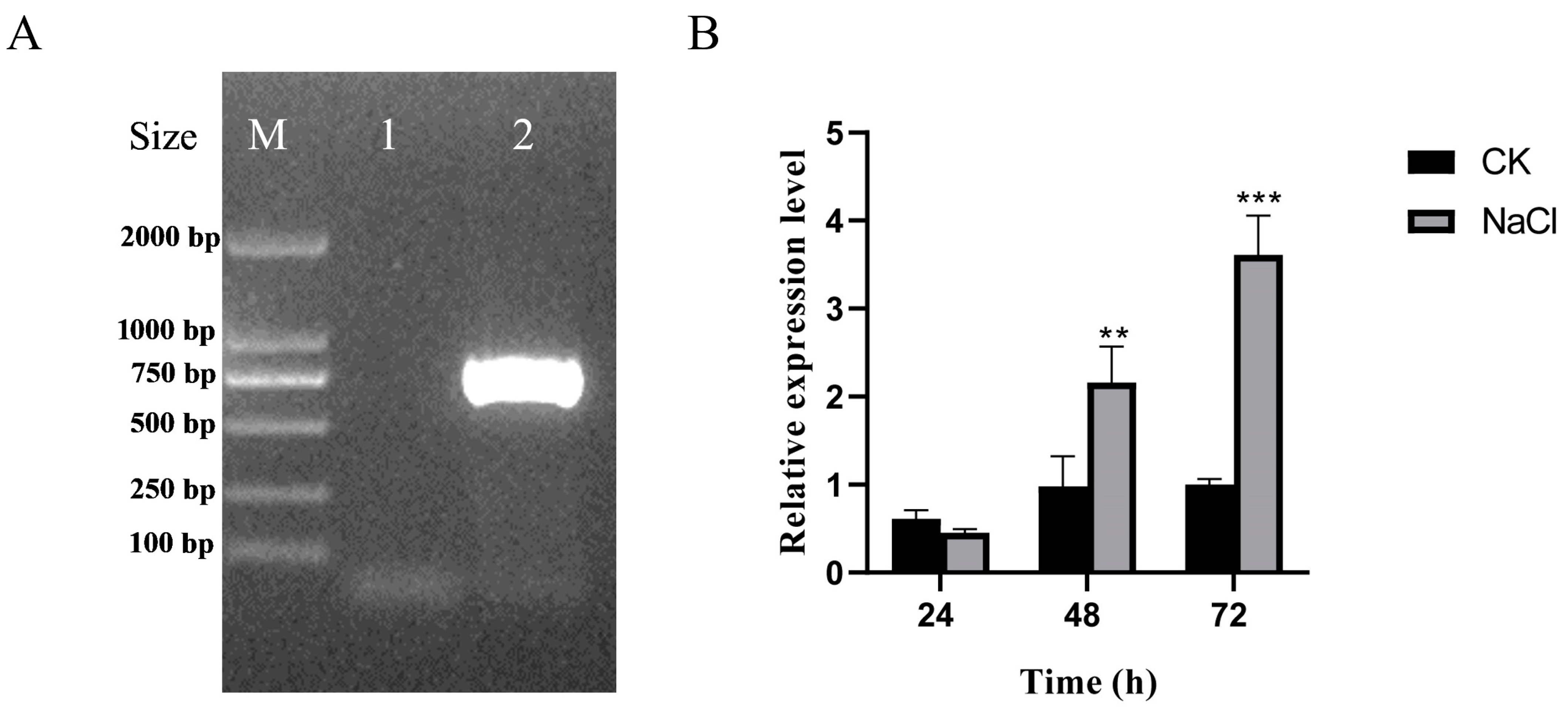 Biology 13 00695 g006