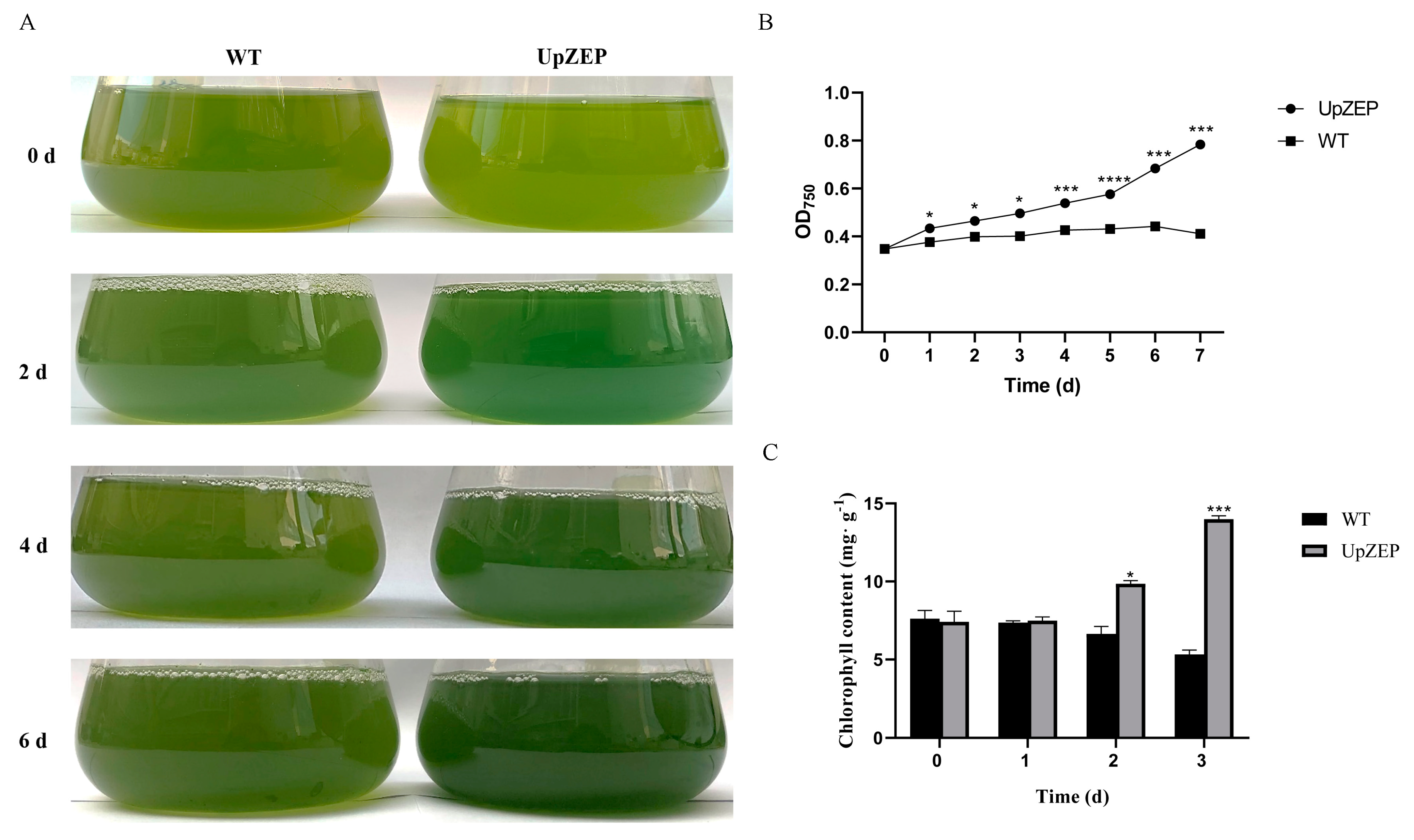 Biology 13 00695 g007
