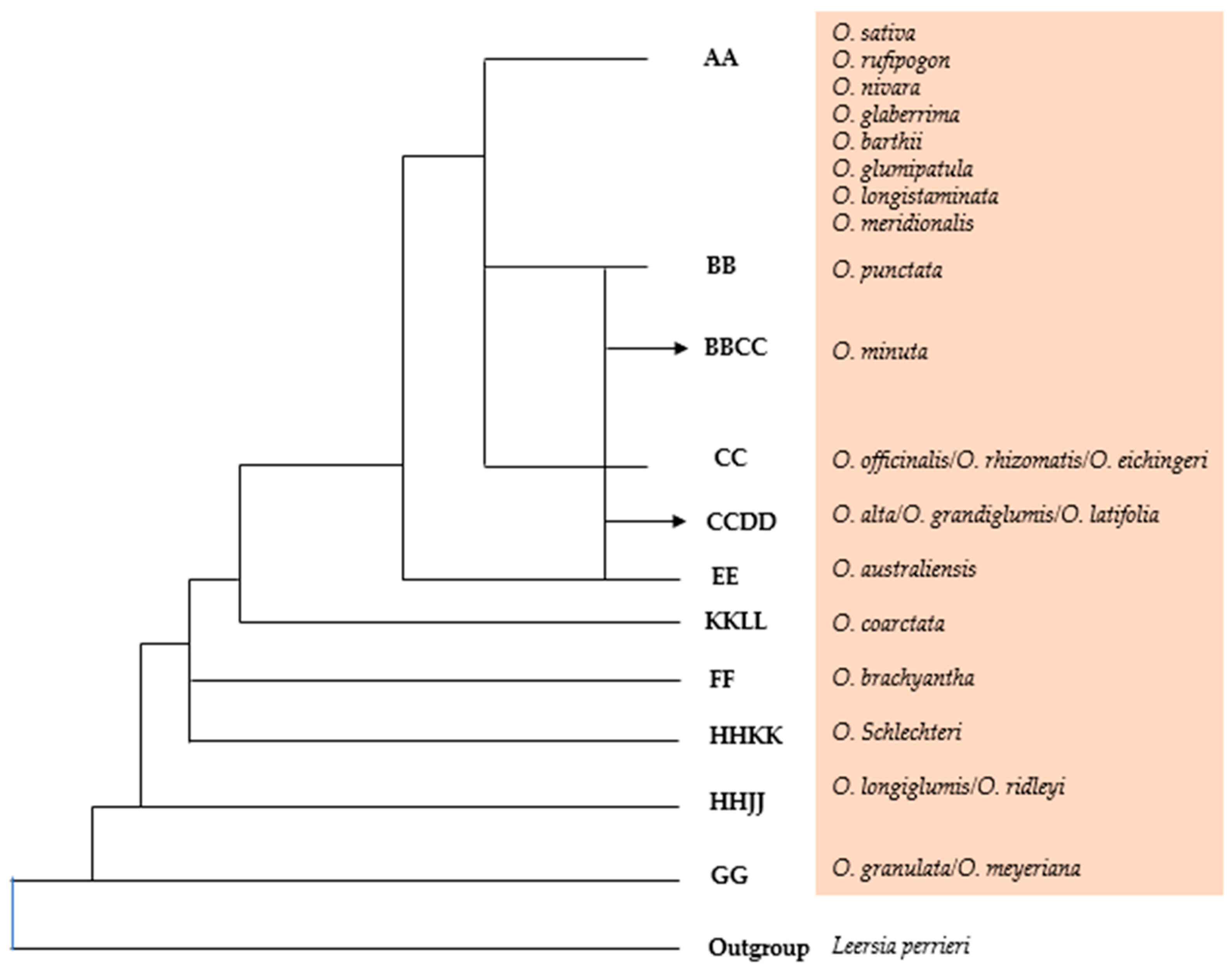 Biology 13 00697 g002