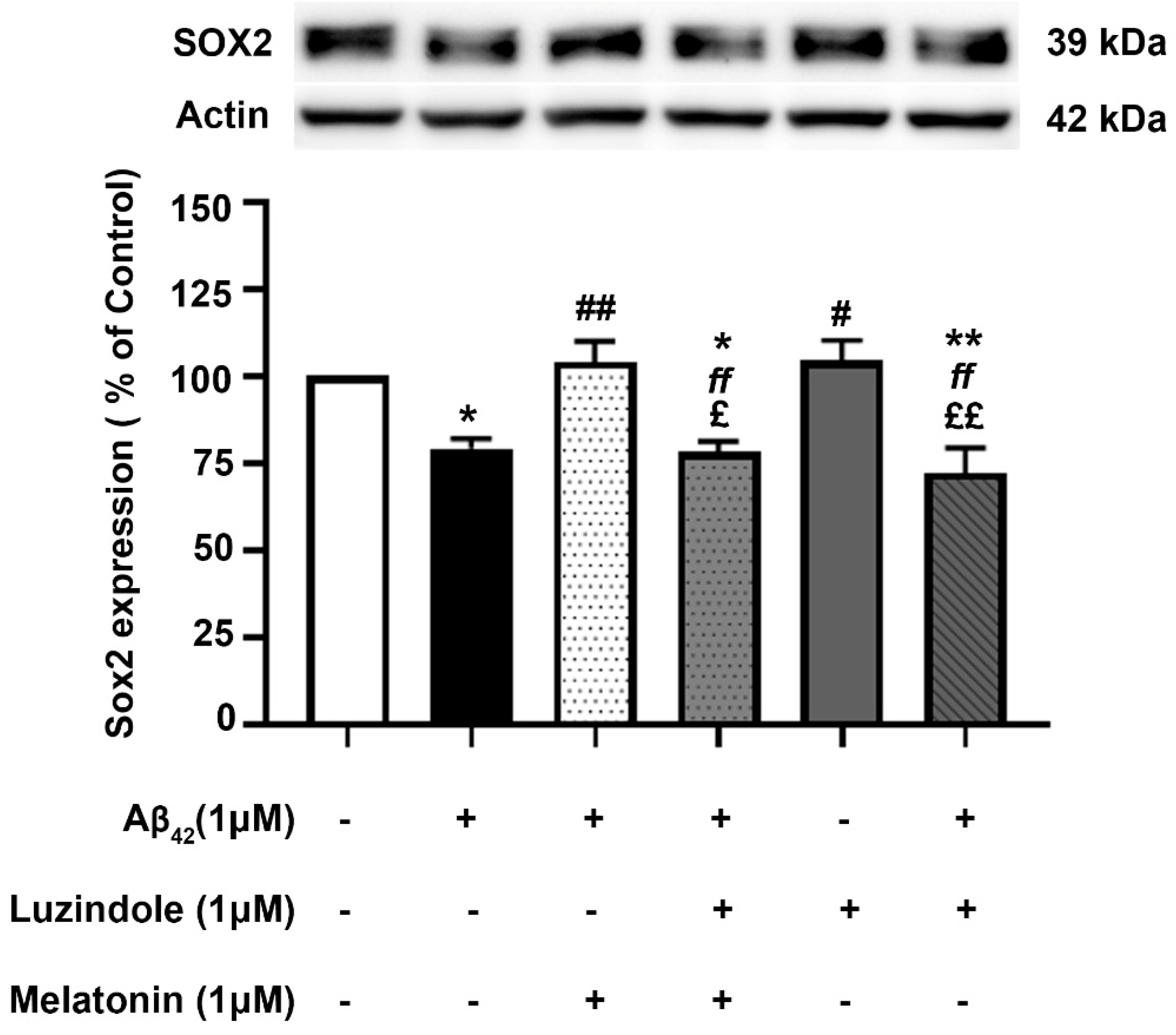 Biology 13 00698 g009