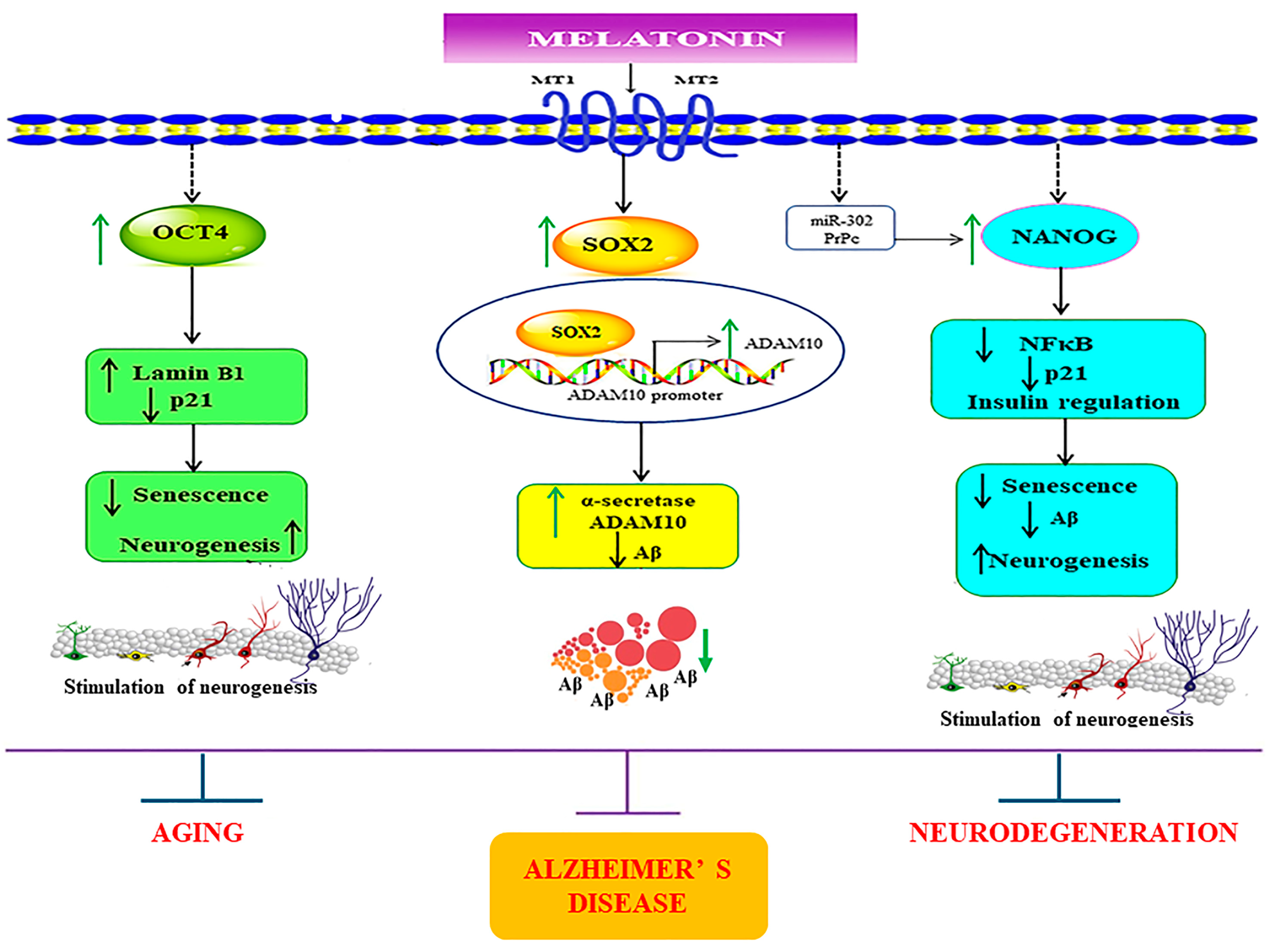 Biology 13 00698 g010