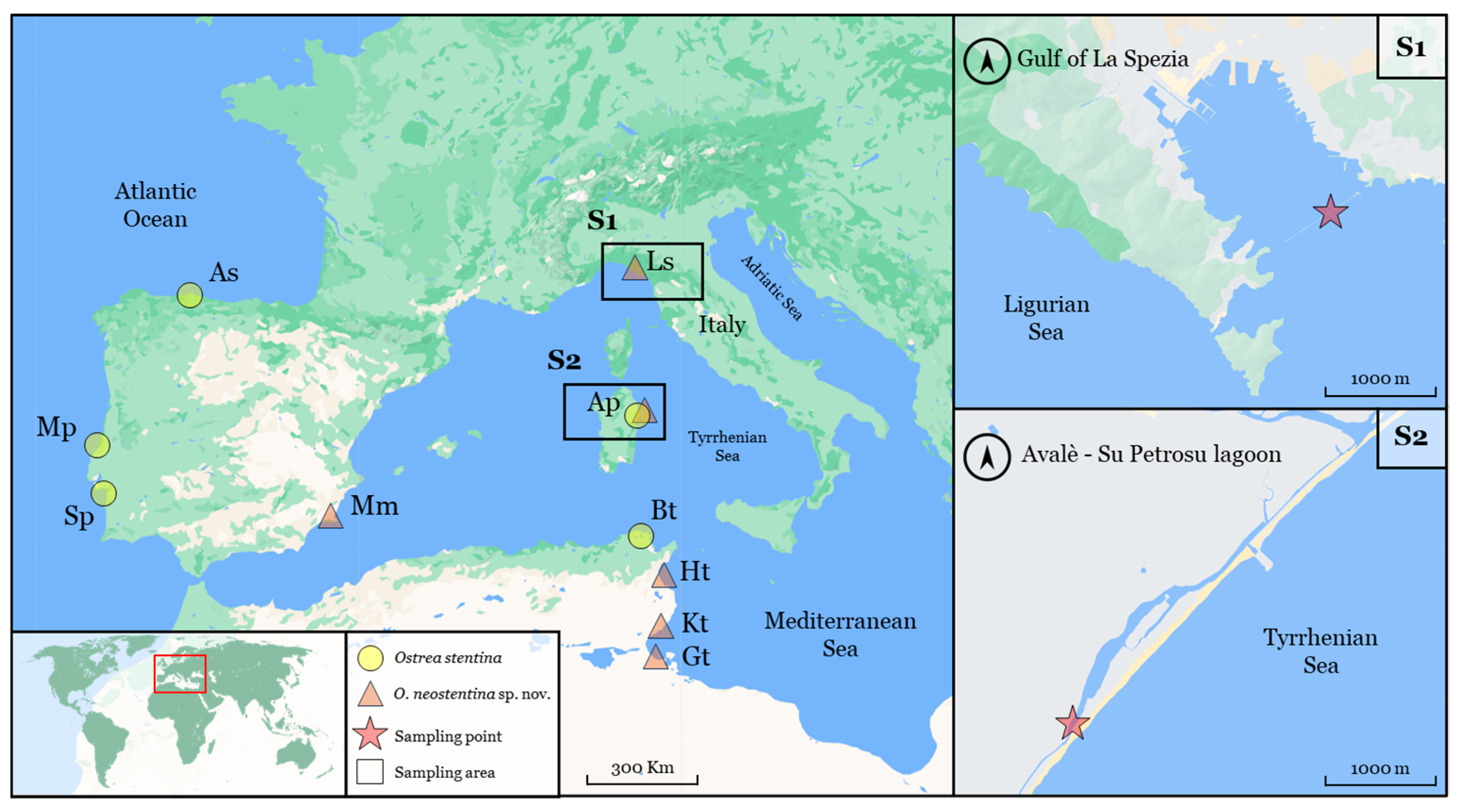 Biology 13 00702 g001