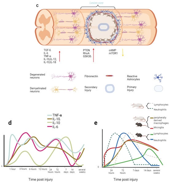 Biology 13 00703 g002b