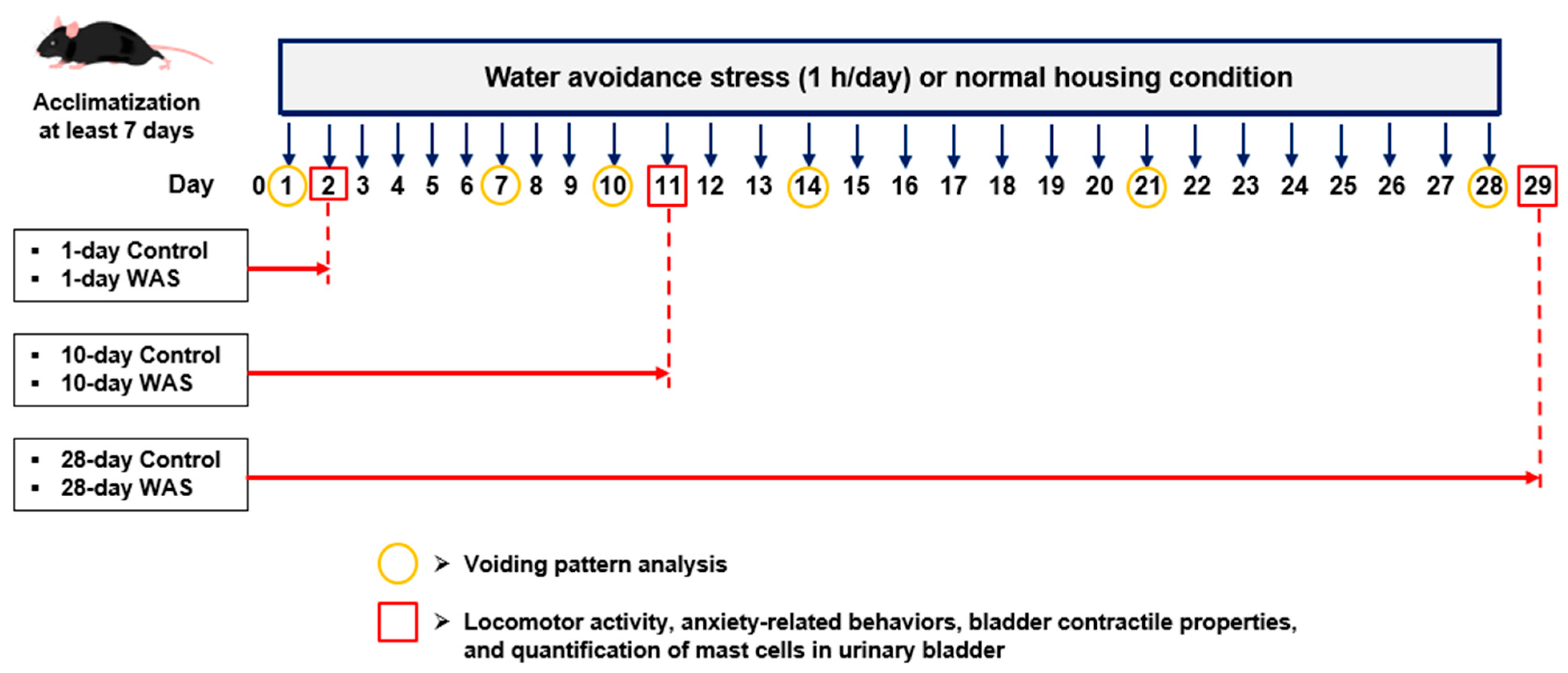 Biology 13 00707 g001