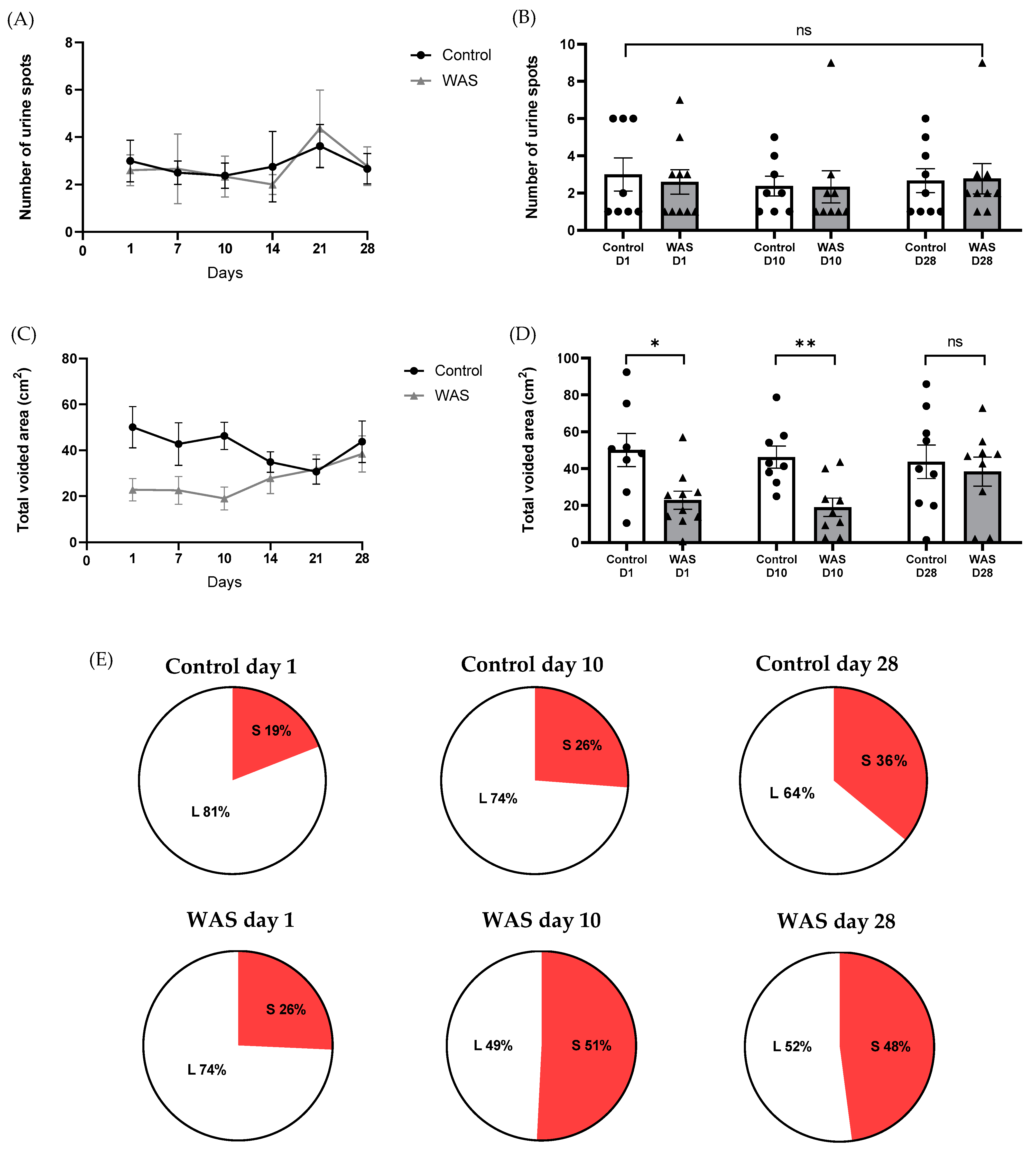 Biology 13 00707 g004