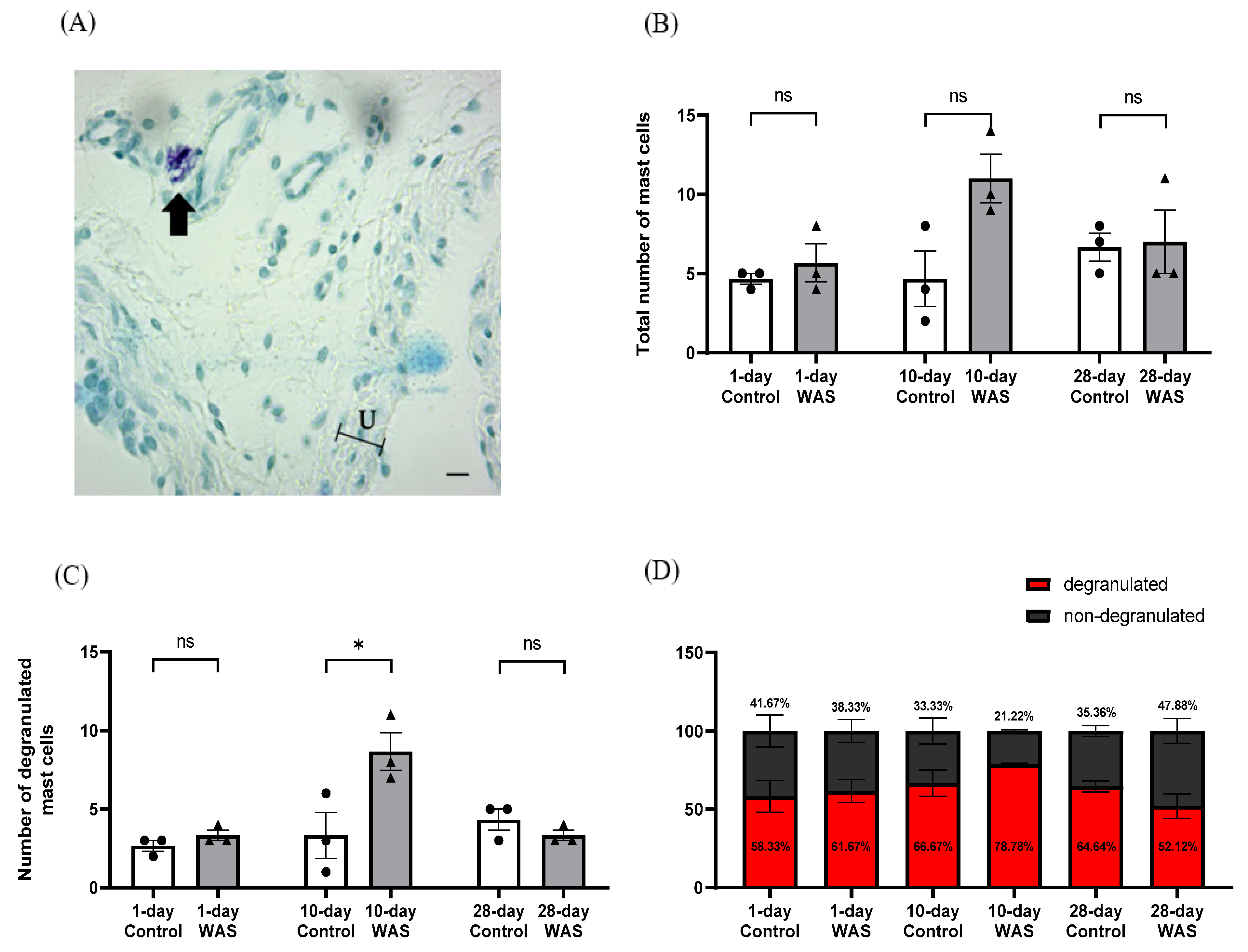 Biology 13 00707 g005