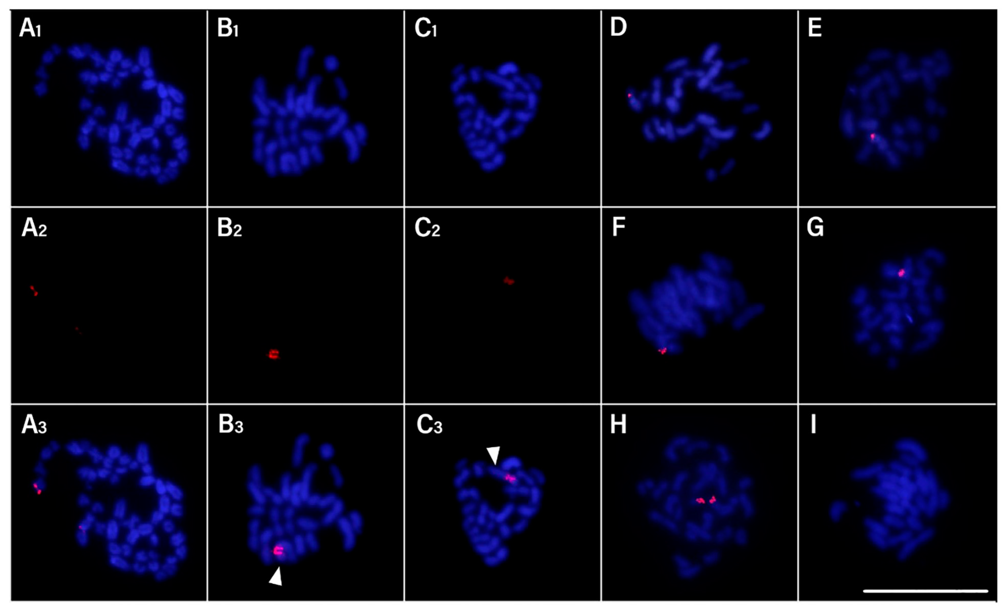 Biology 13 00708 g003
