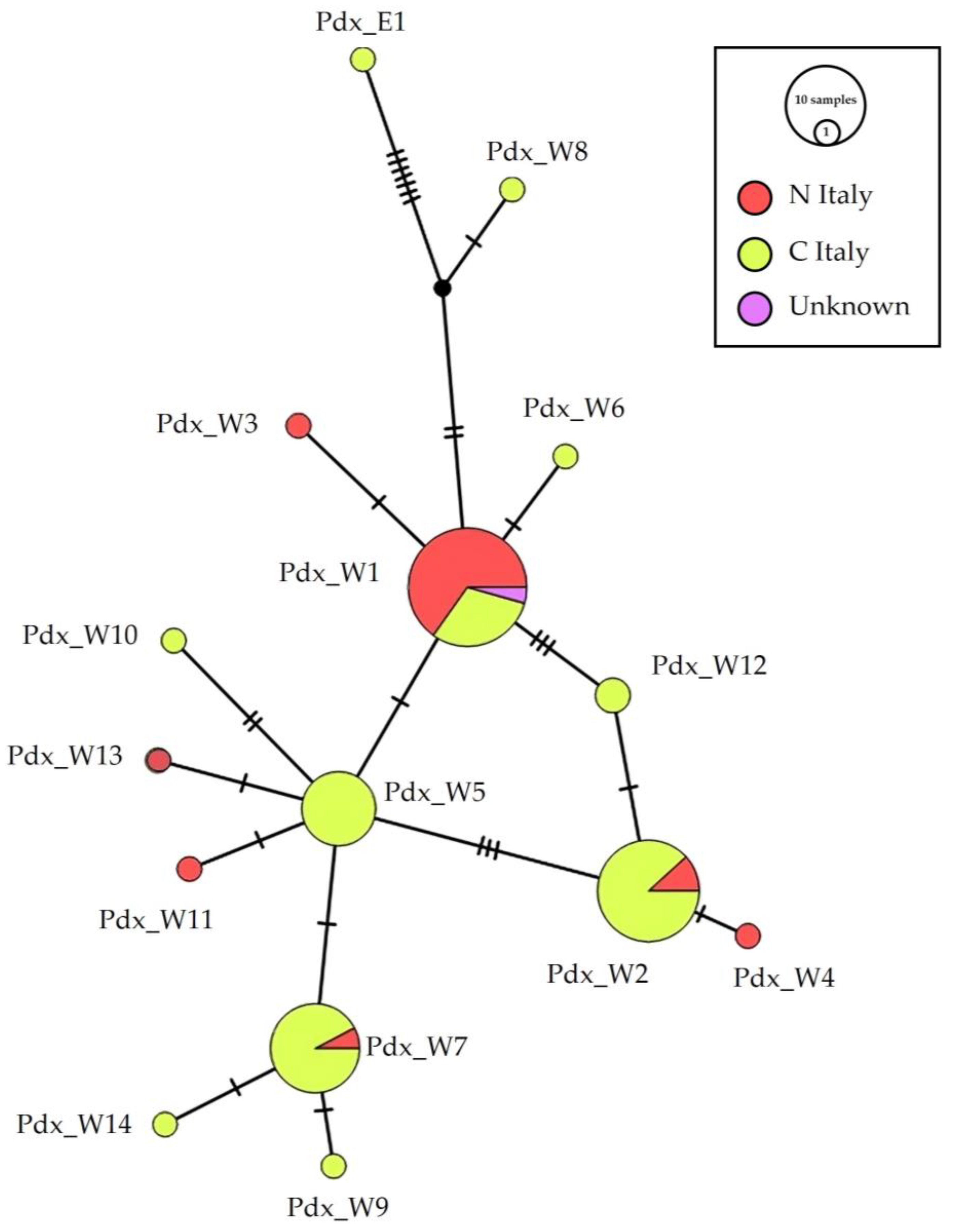Biology 13 00709 g002