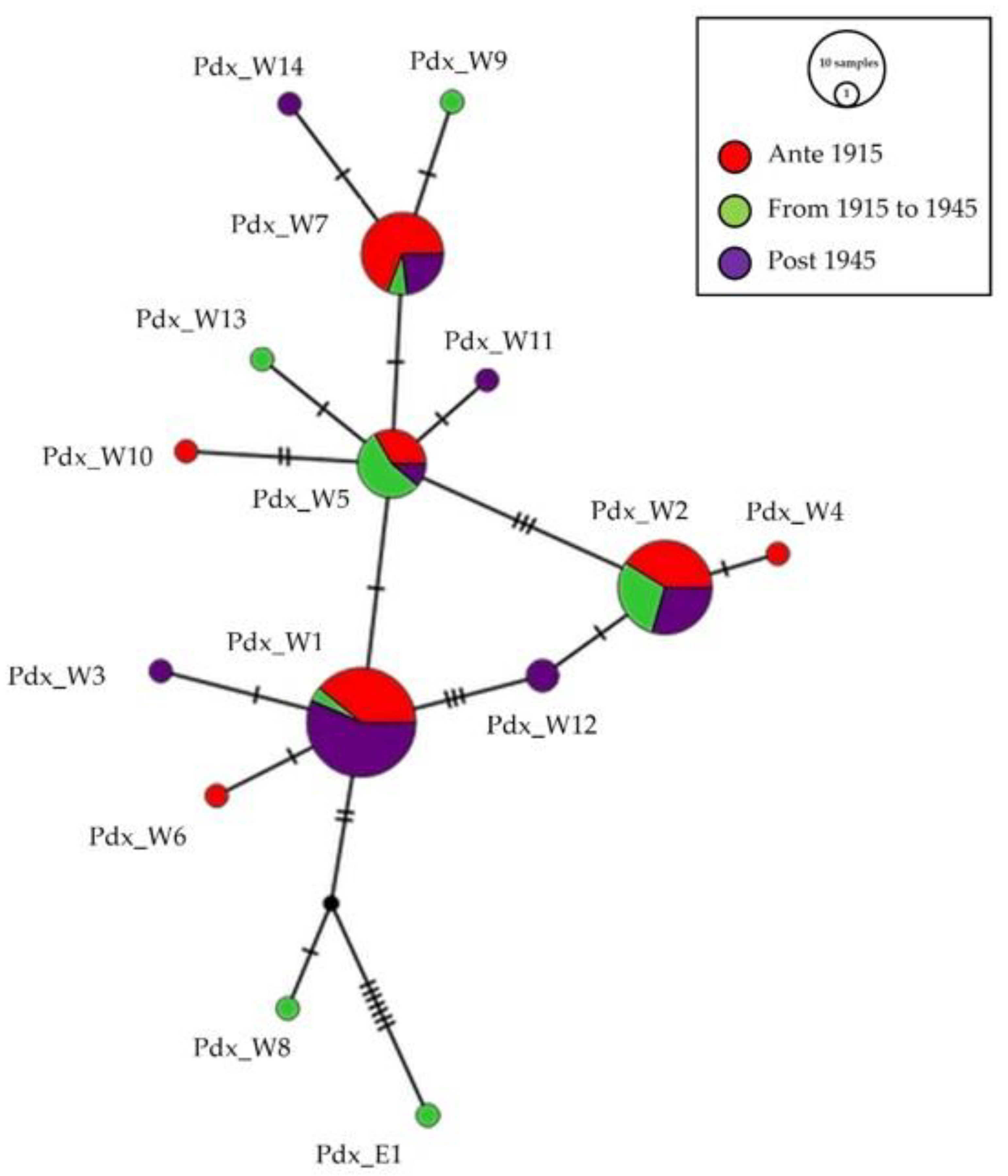 Biology 13 00709 g003