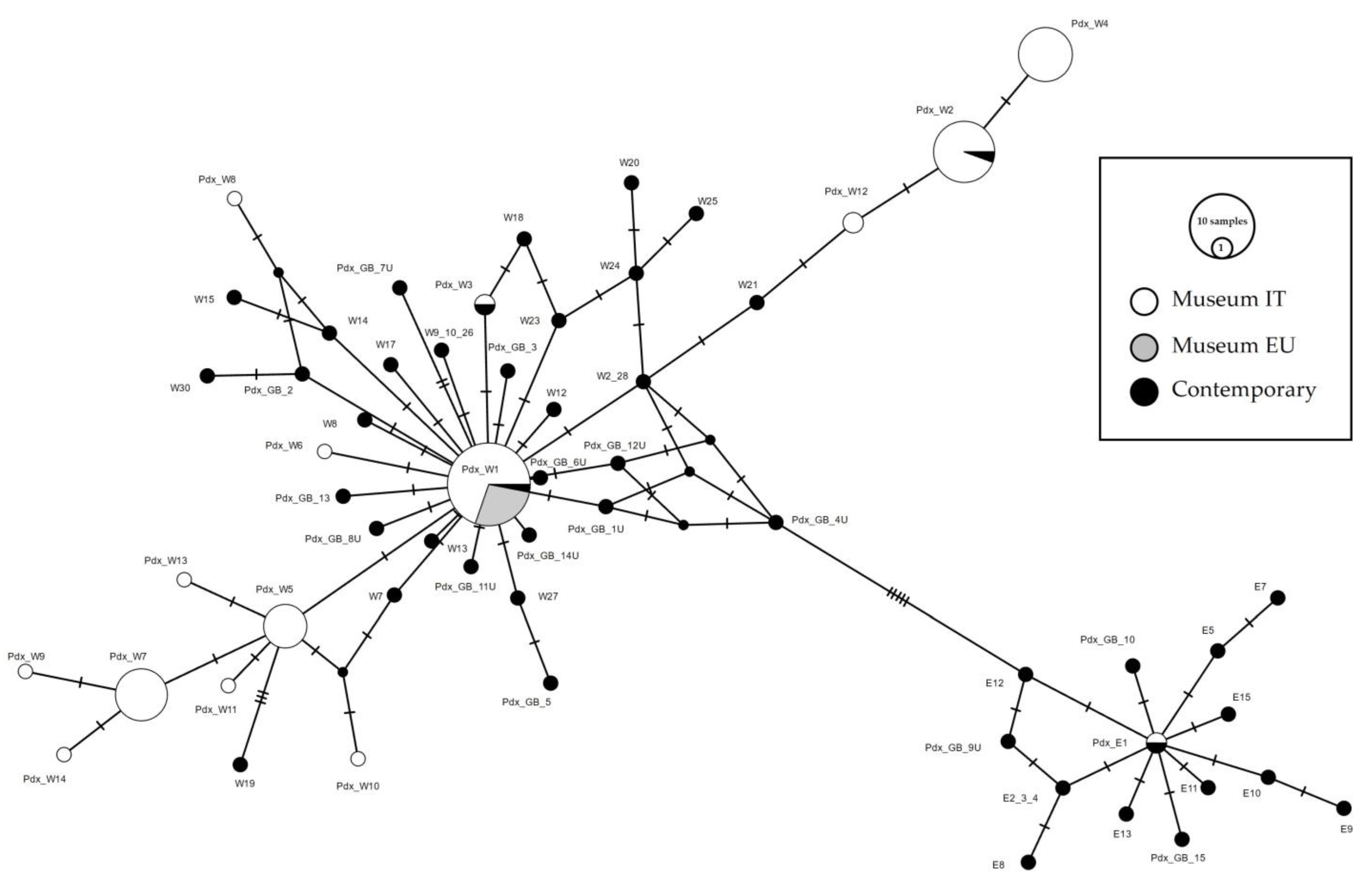Biology 13 00709 g004