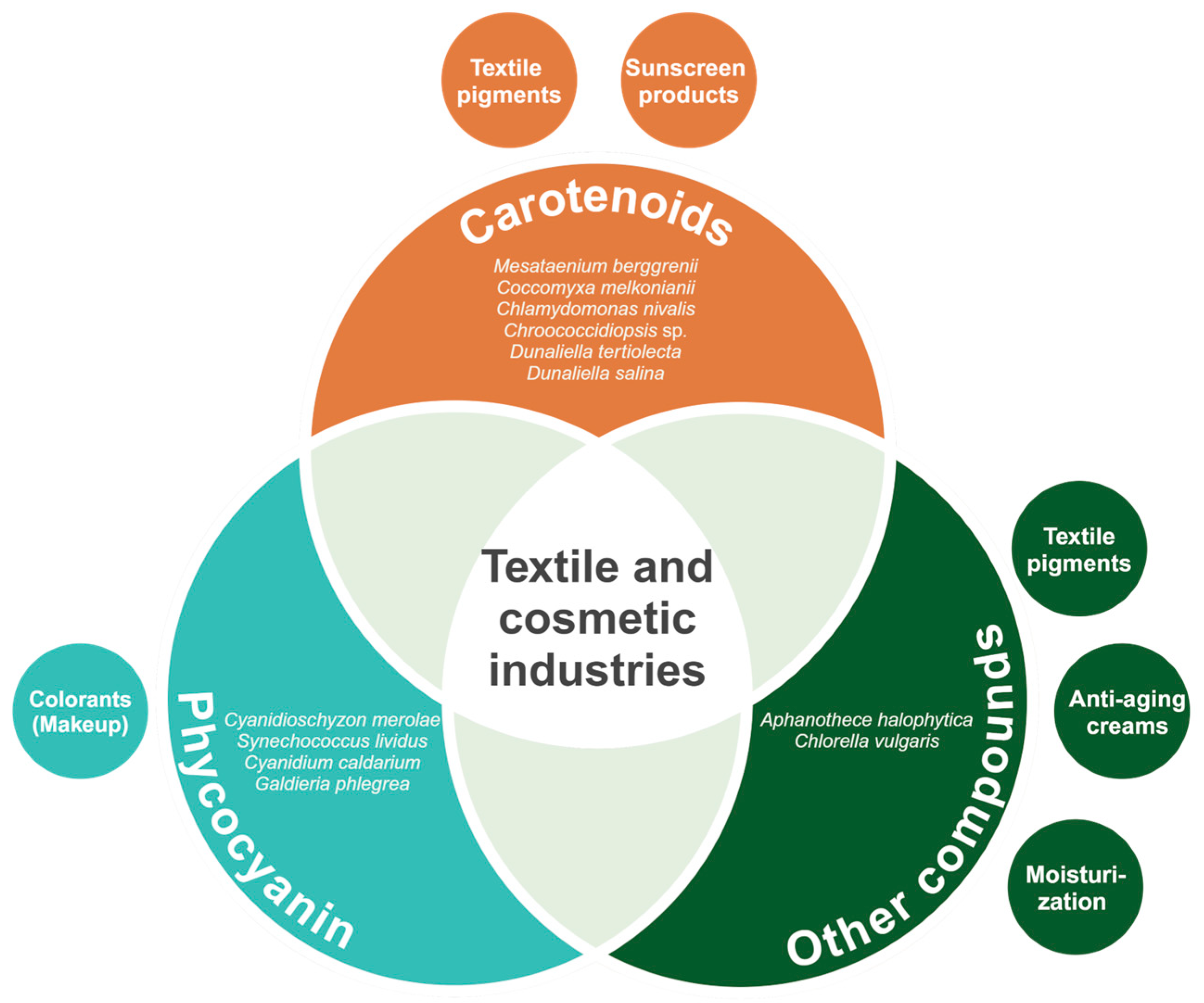 Biology 13 00712 g003