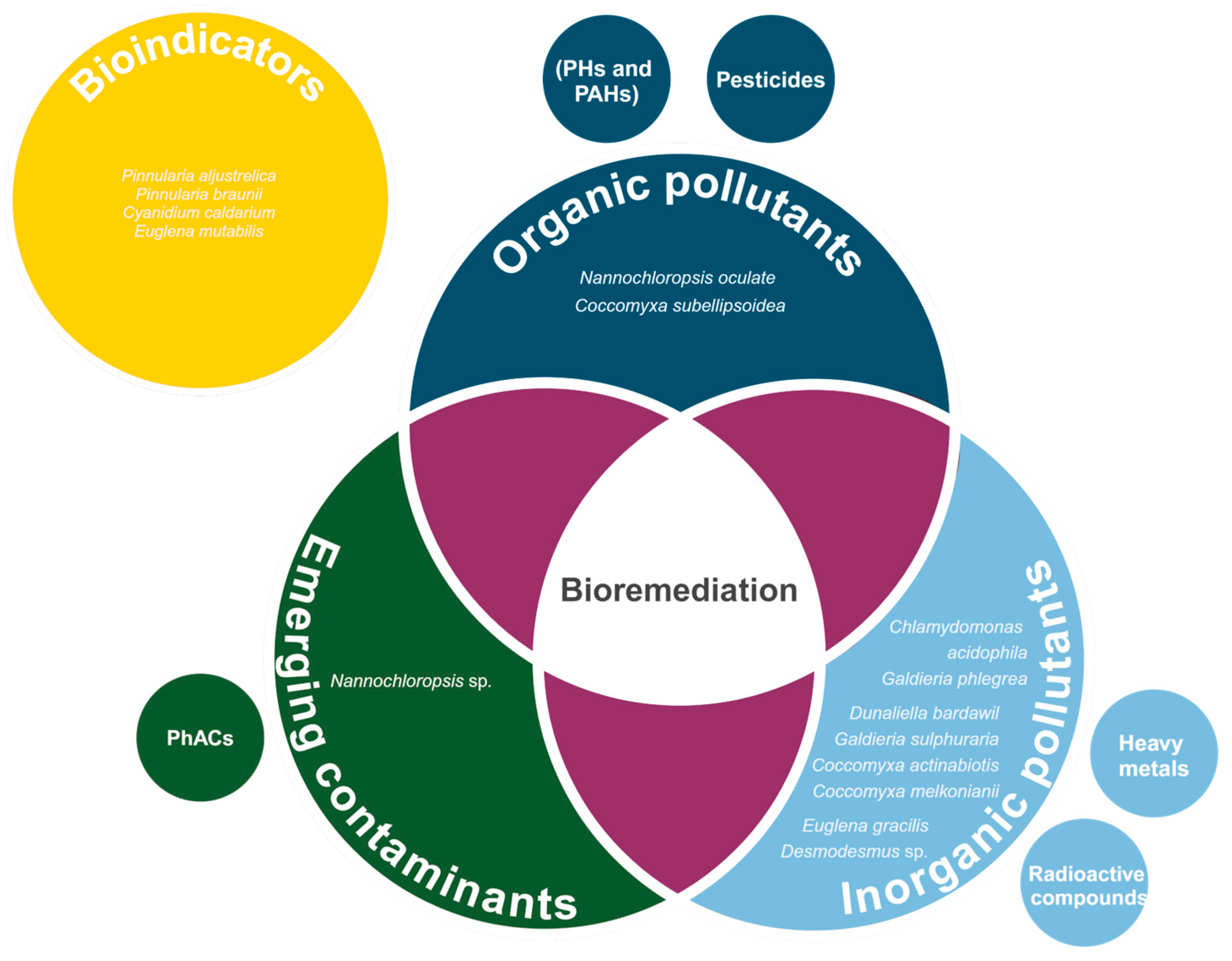 Biology 13 00712 g004