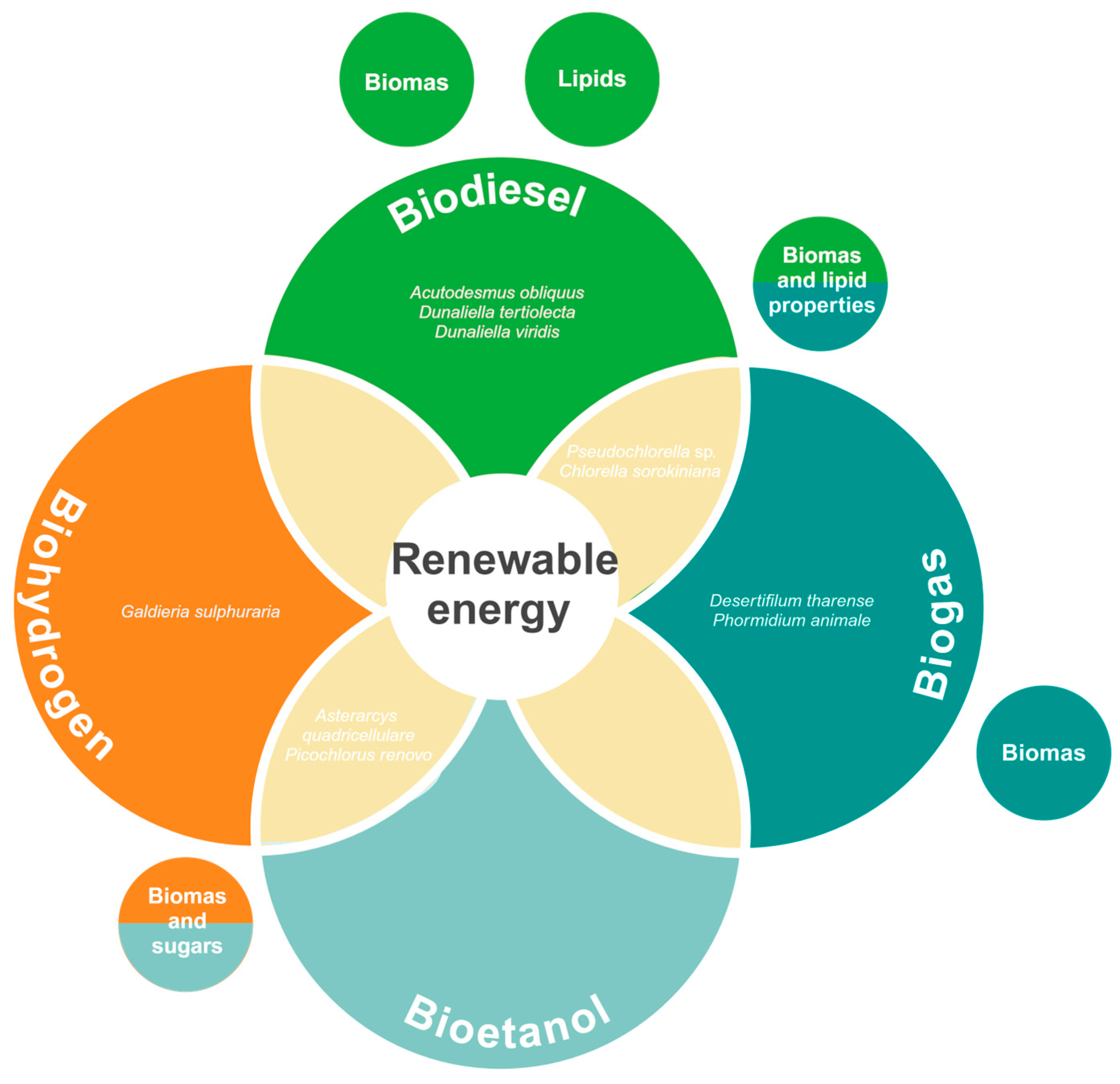 Biology 13 00712 g005