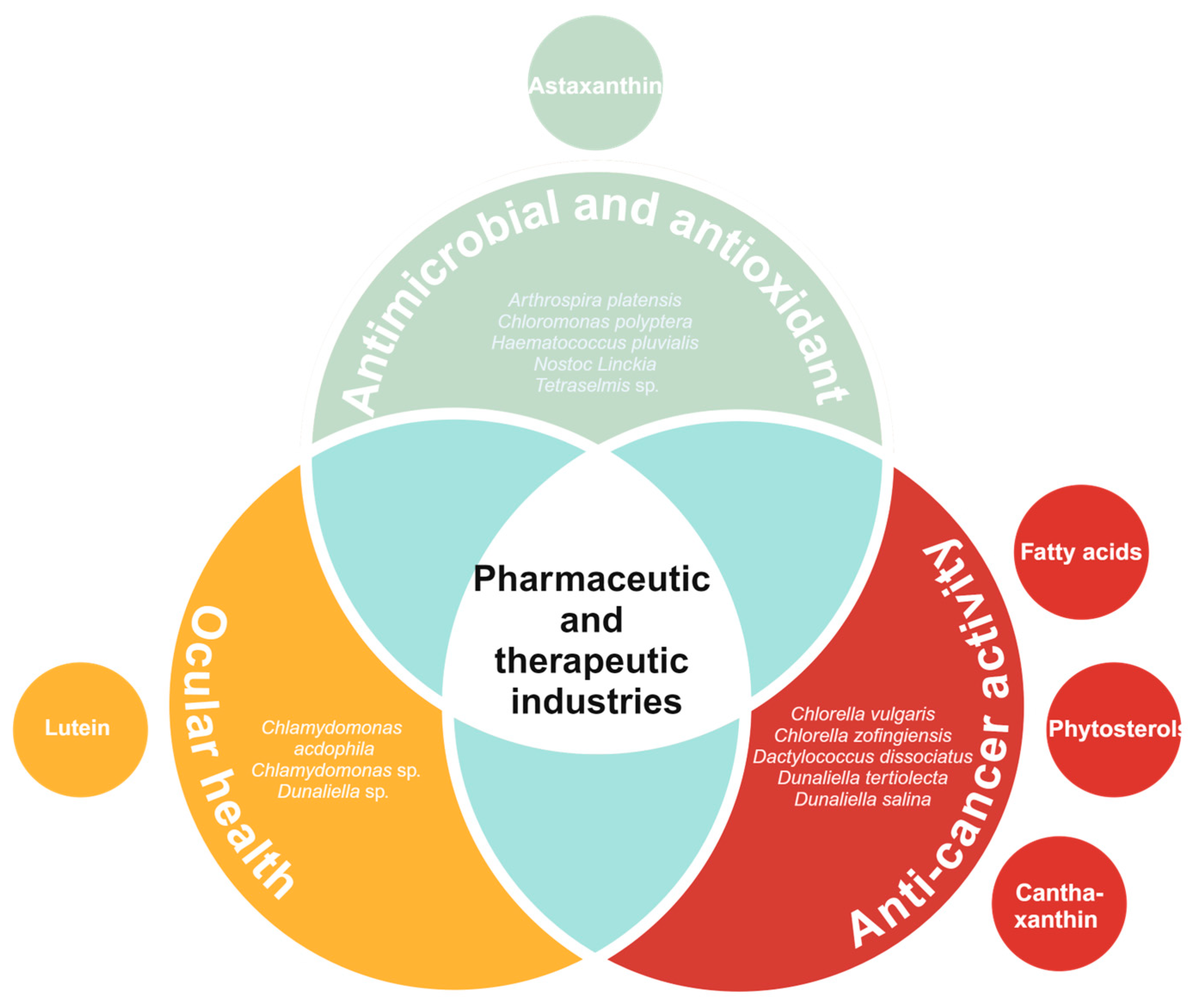 Biology 13 00712 g006