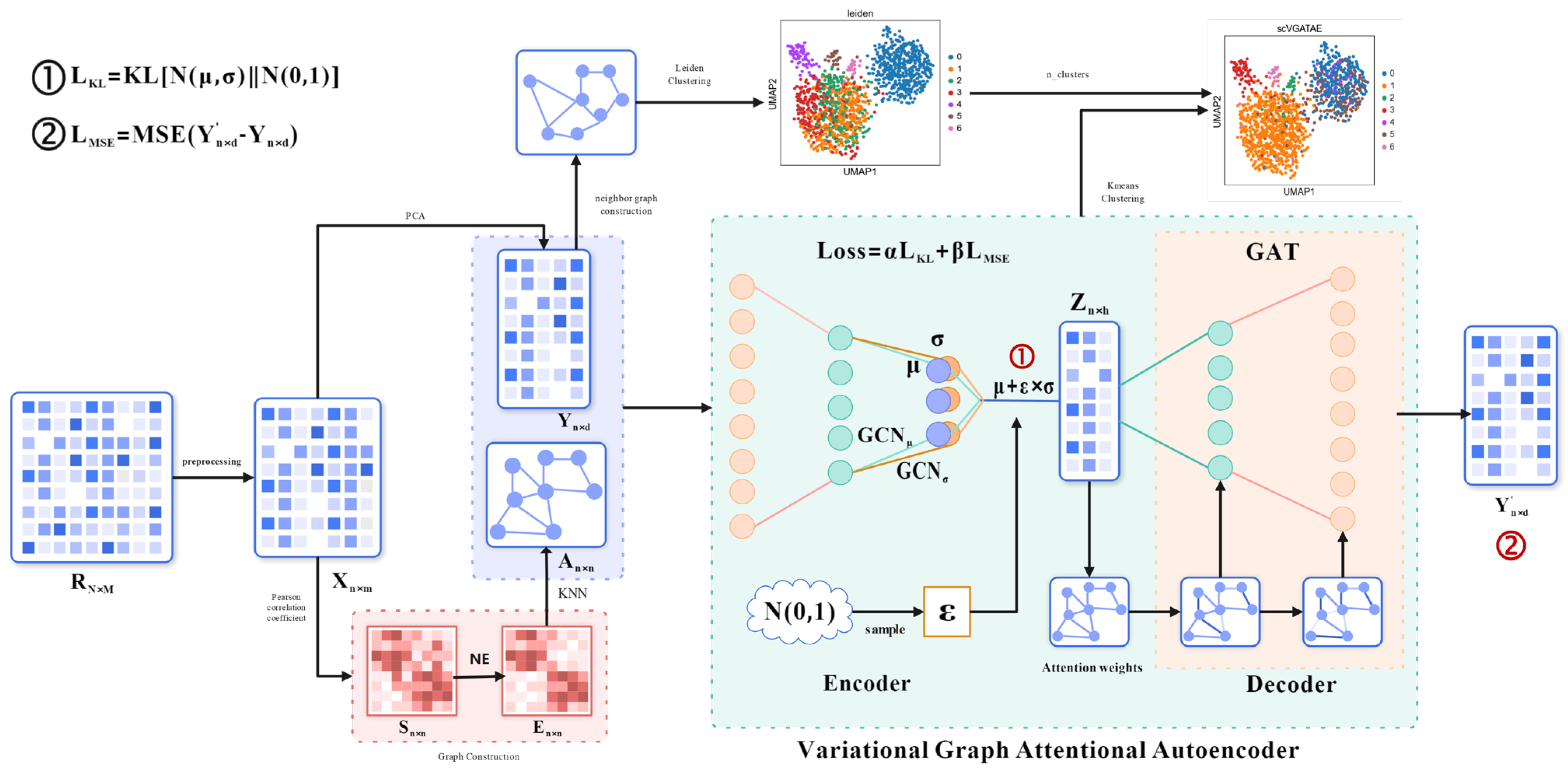 Biology 13 00713 g001
