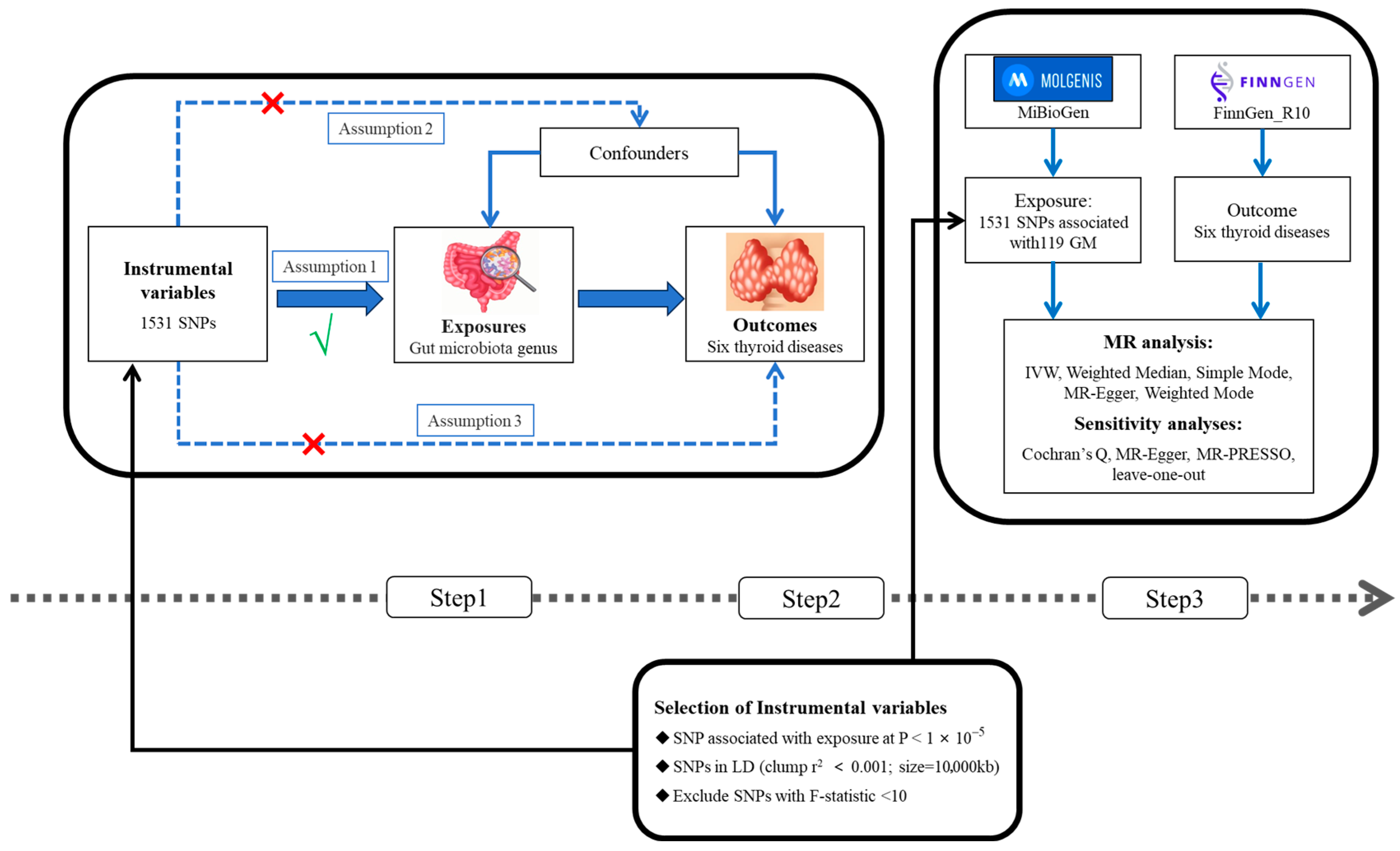 Biology 13 00714 g001