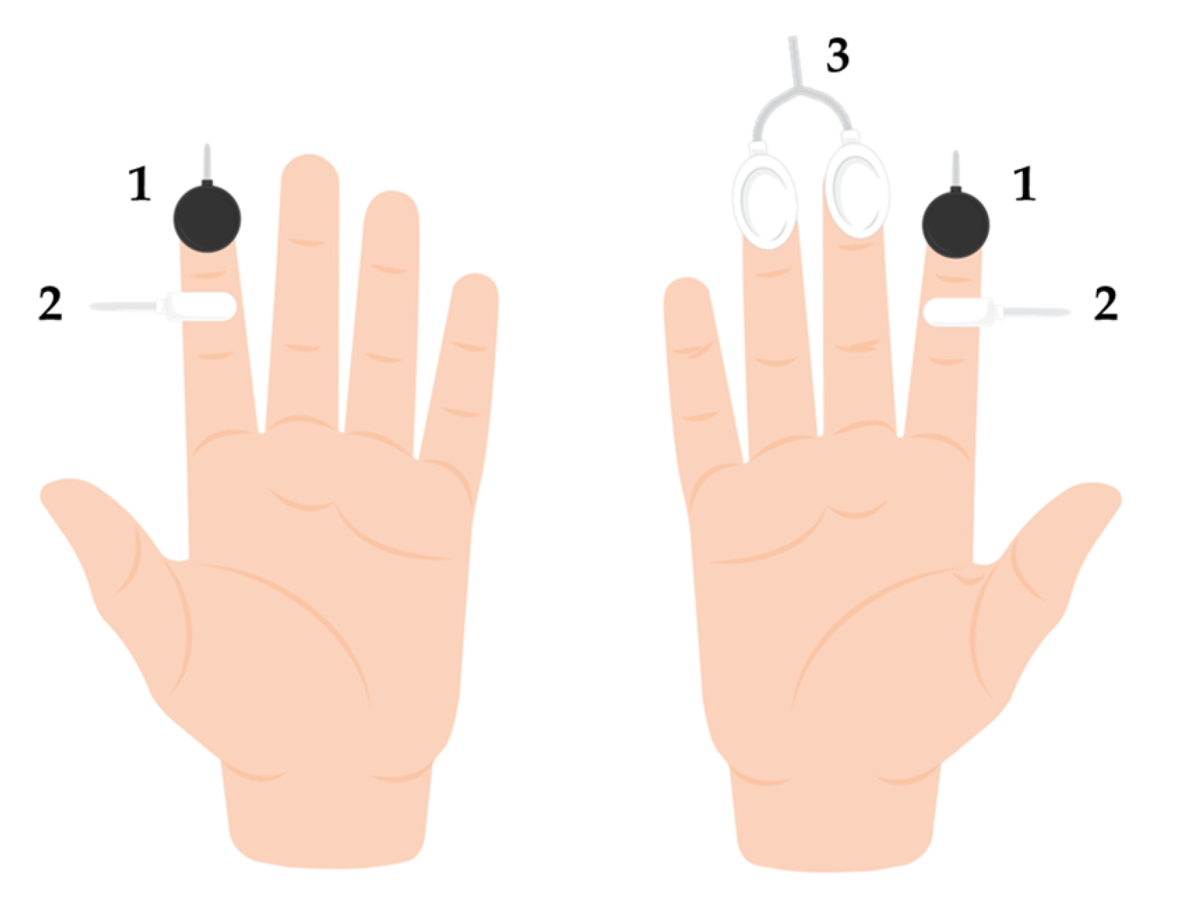 Biology 13 00715 g002