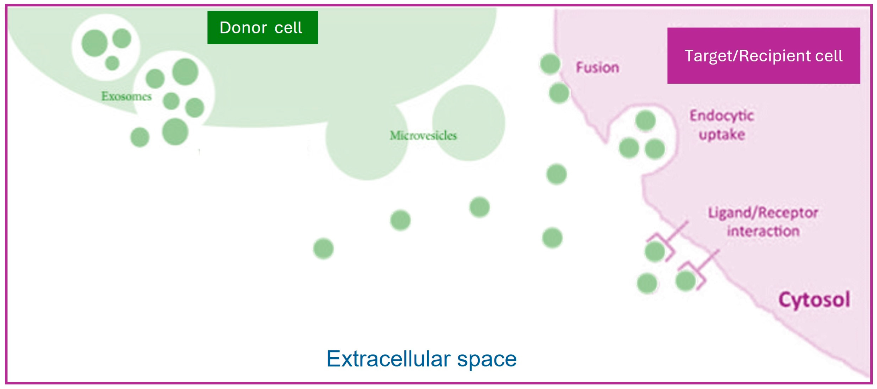 Biology 13 00716 g002
