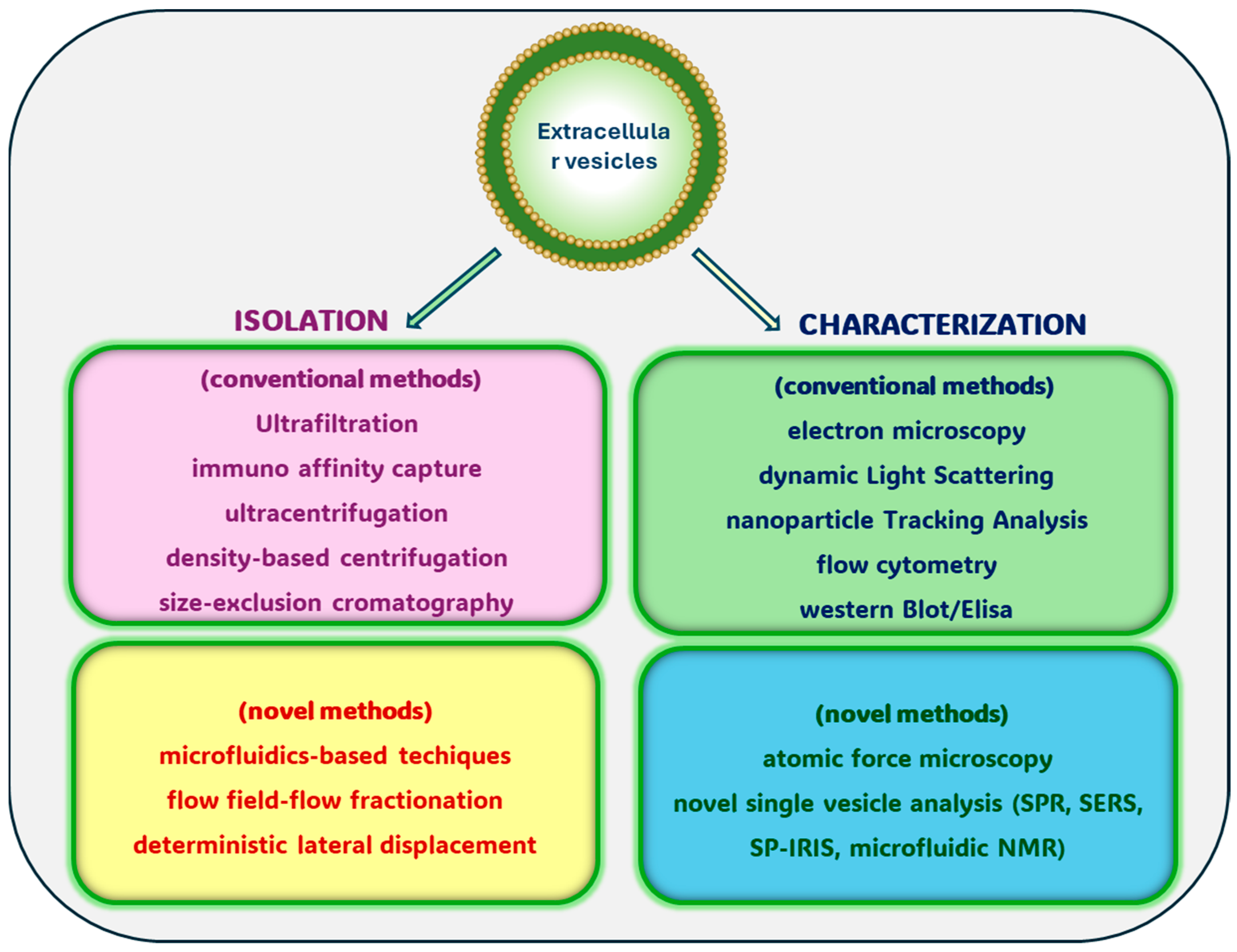 Biology 13 00716 g003
