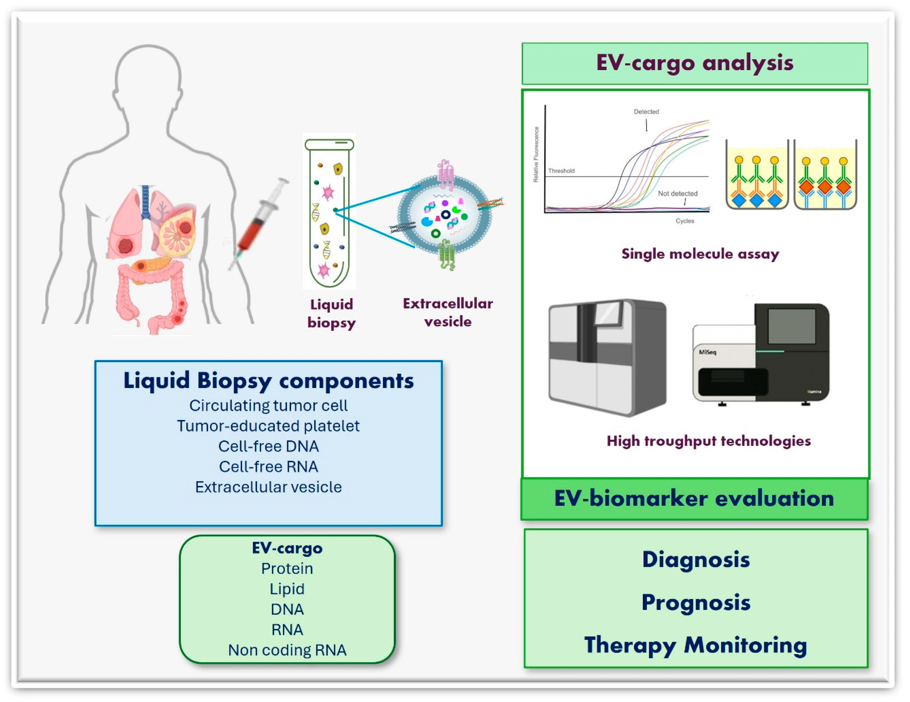 Biology 13 00716 g004