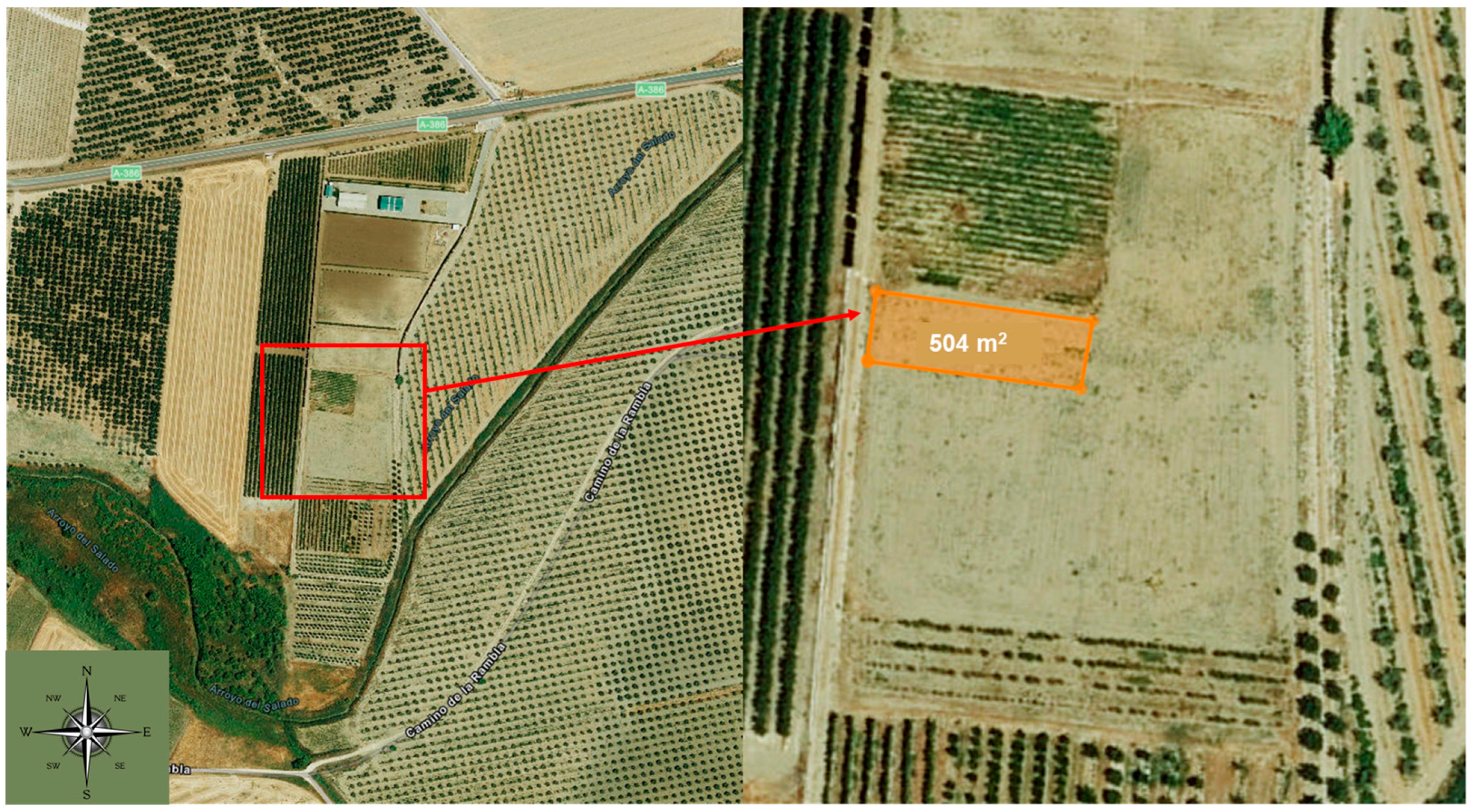 Biology 13 00718 g001