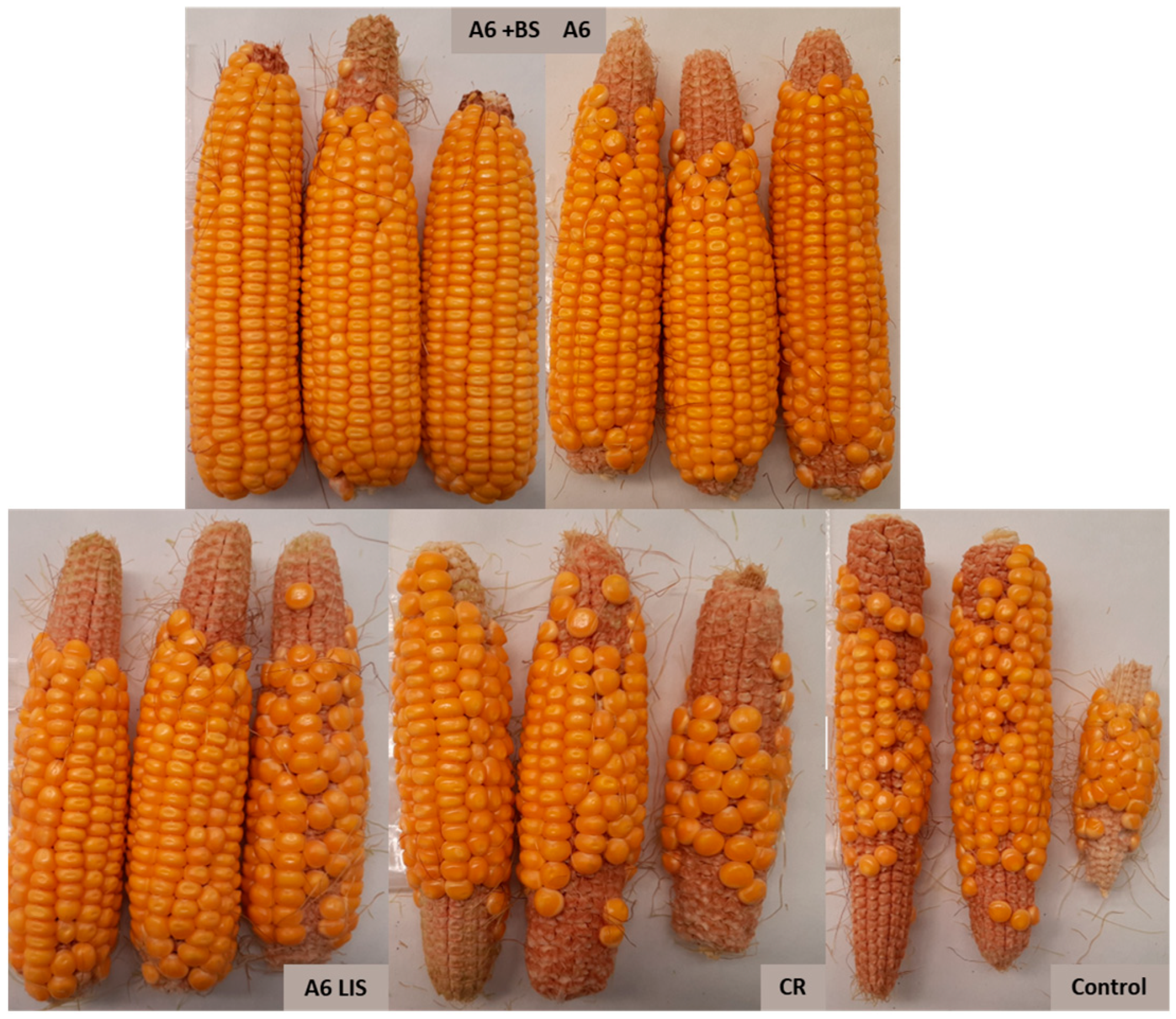 Biology 13 00718 g004