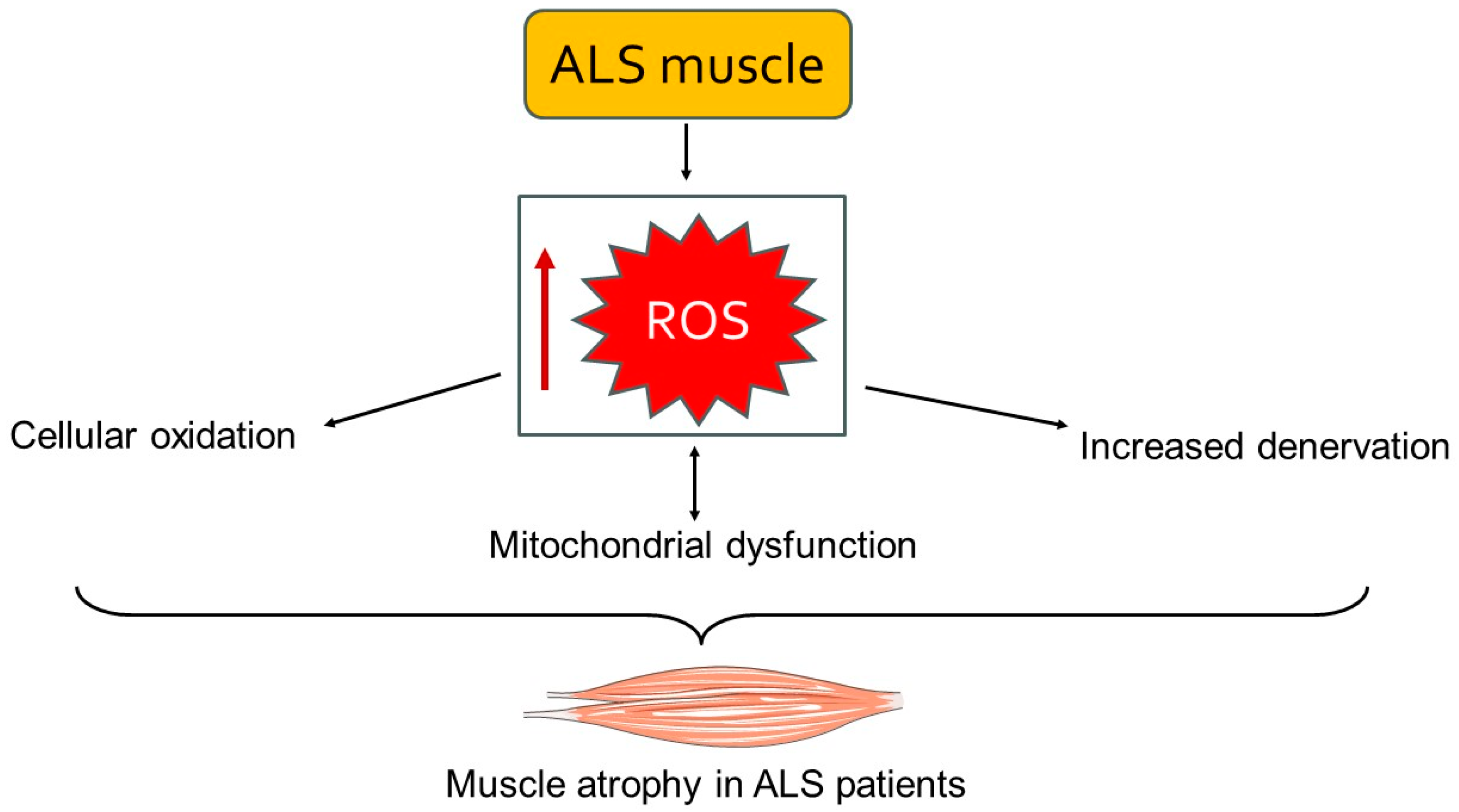 Biology 13 00719 g002