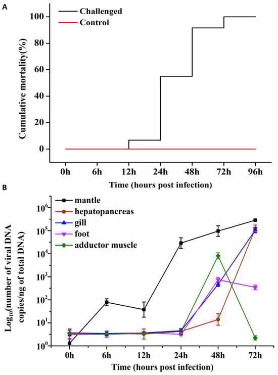 Biology 13 00720 g001