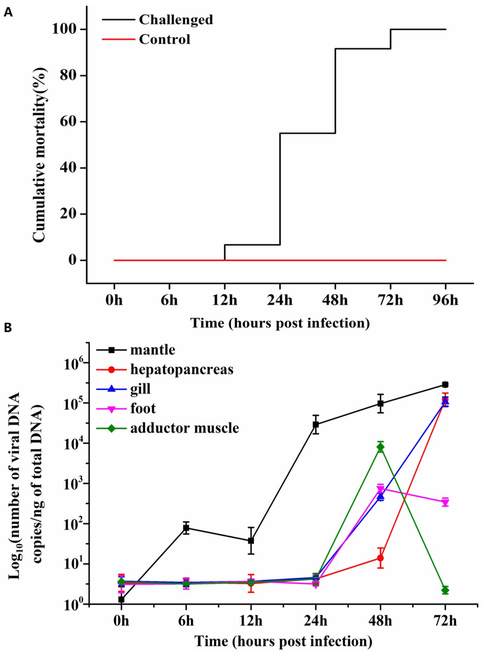 Biology 13 00720 g001