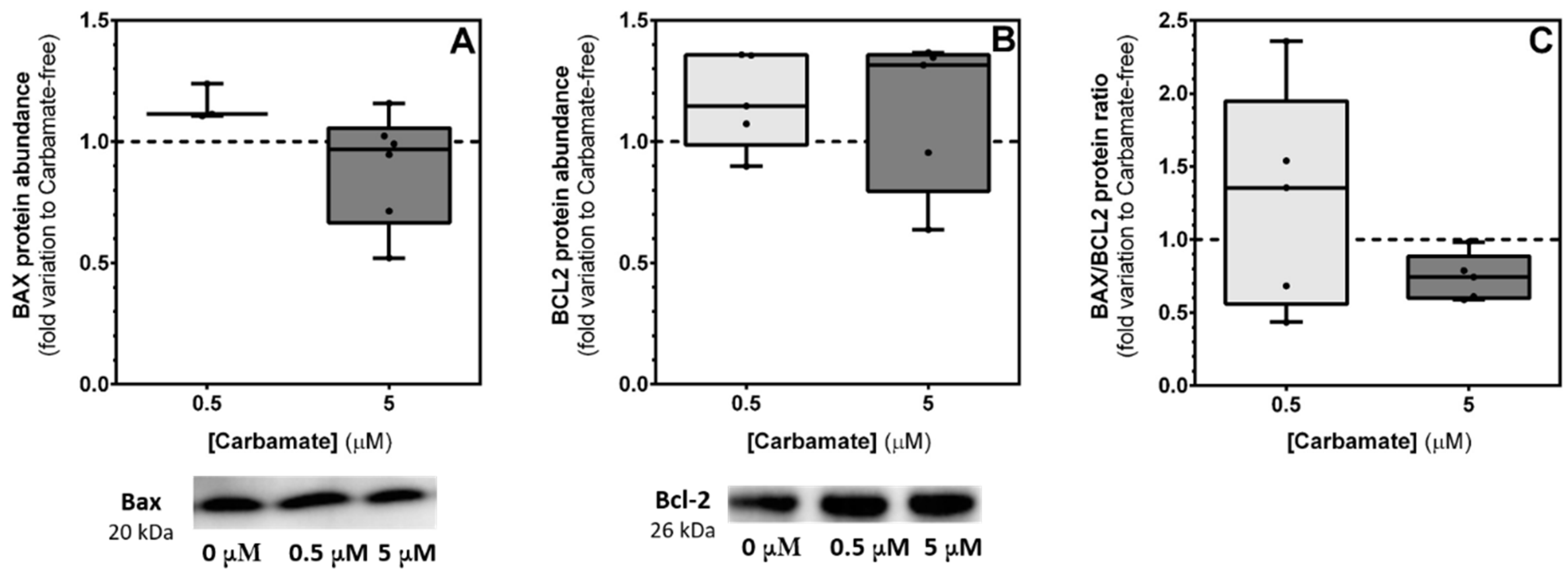 Biology 13 00721 g006