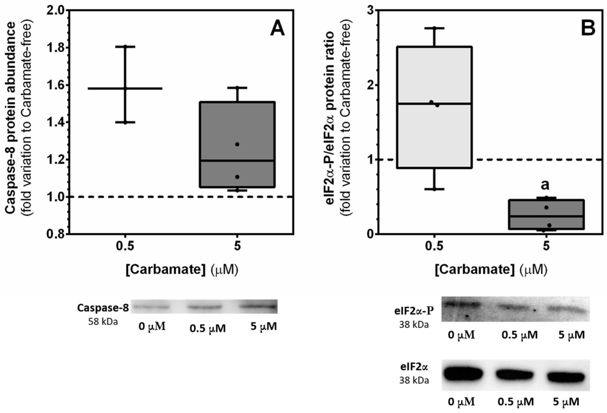 Biology 13 00721 g007