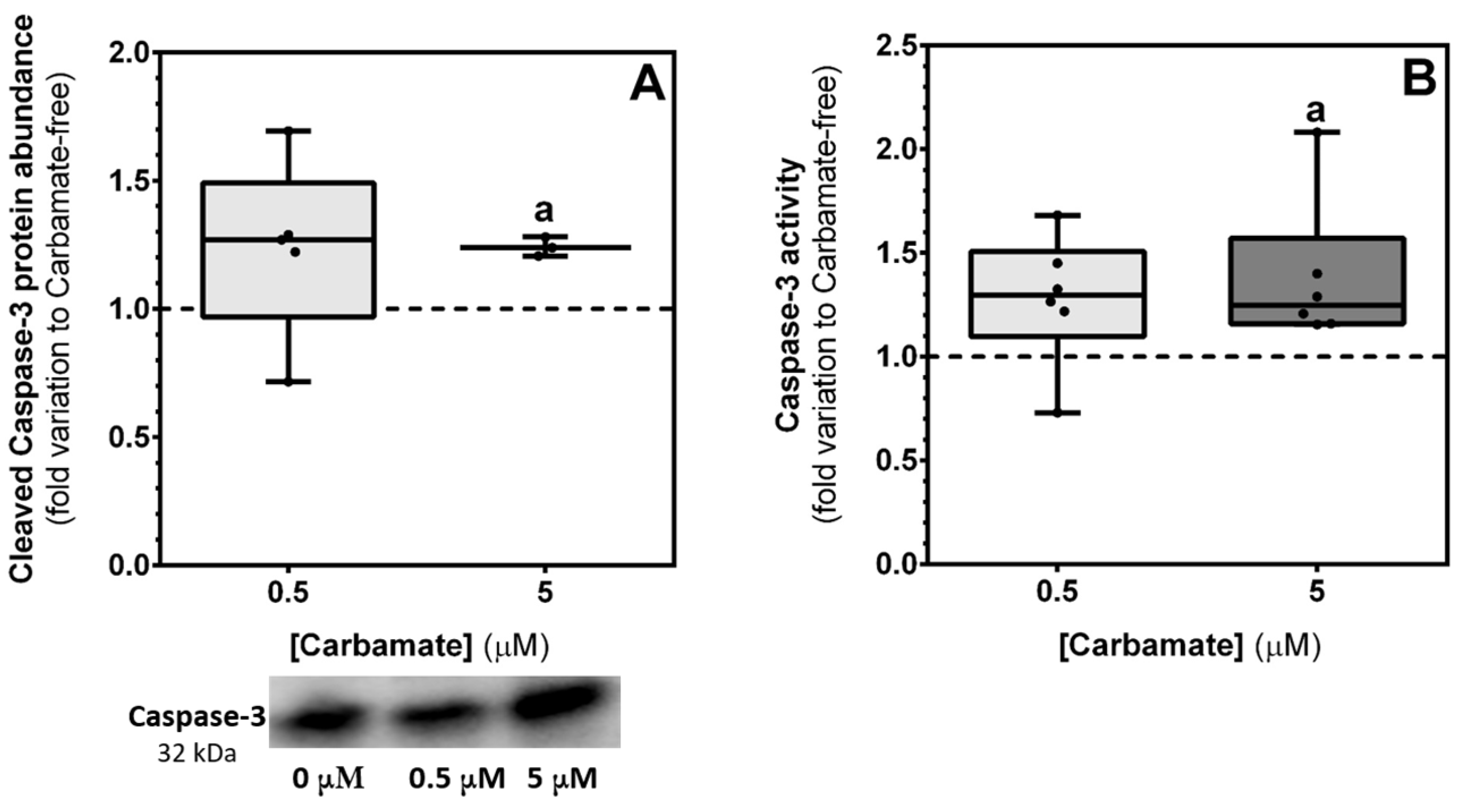 Biology 13 00721 g008