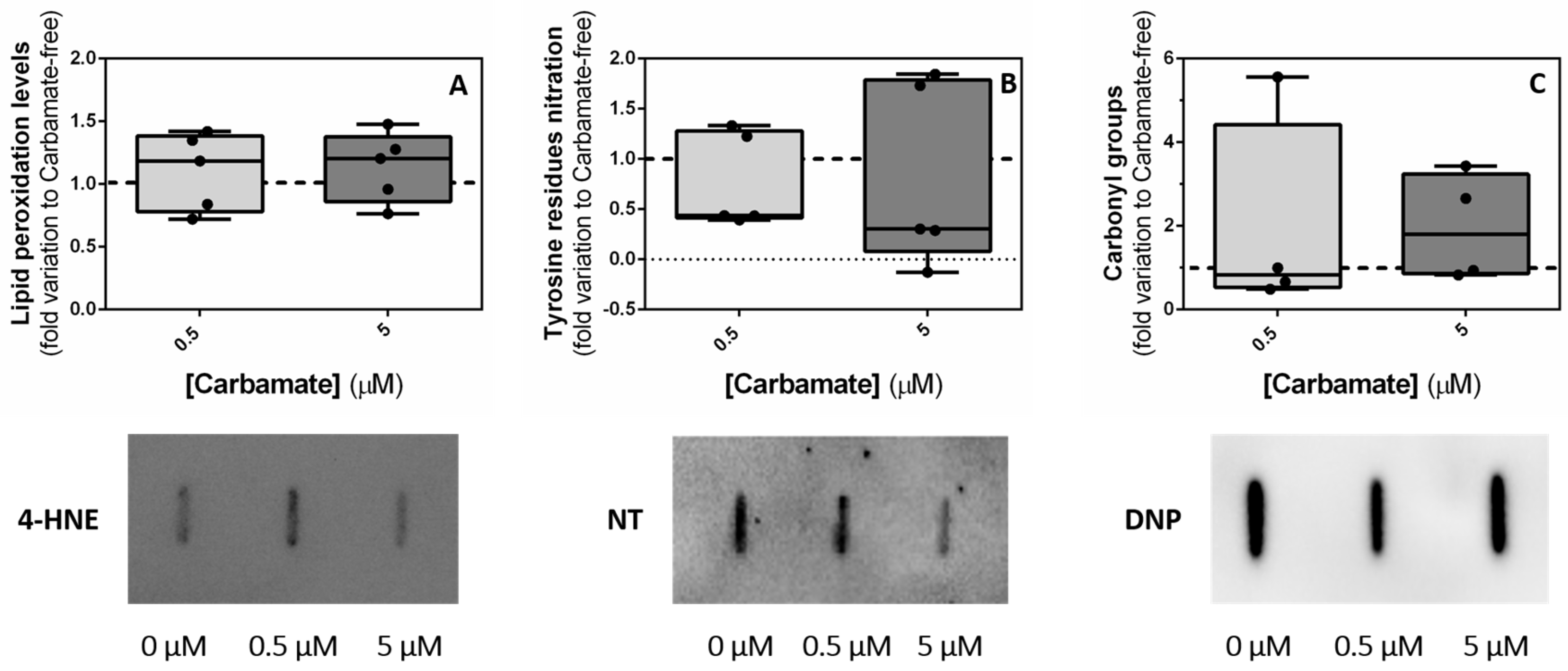 Biology 13 00721 g009