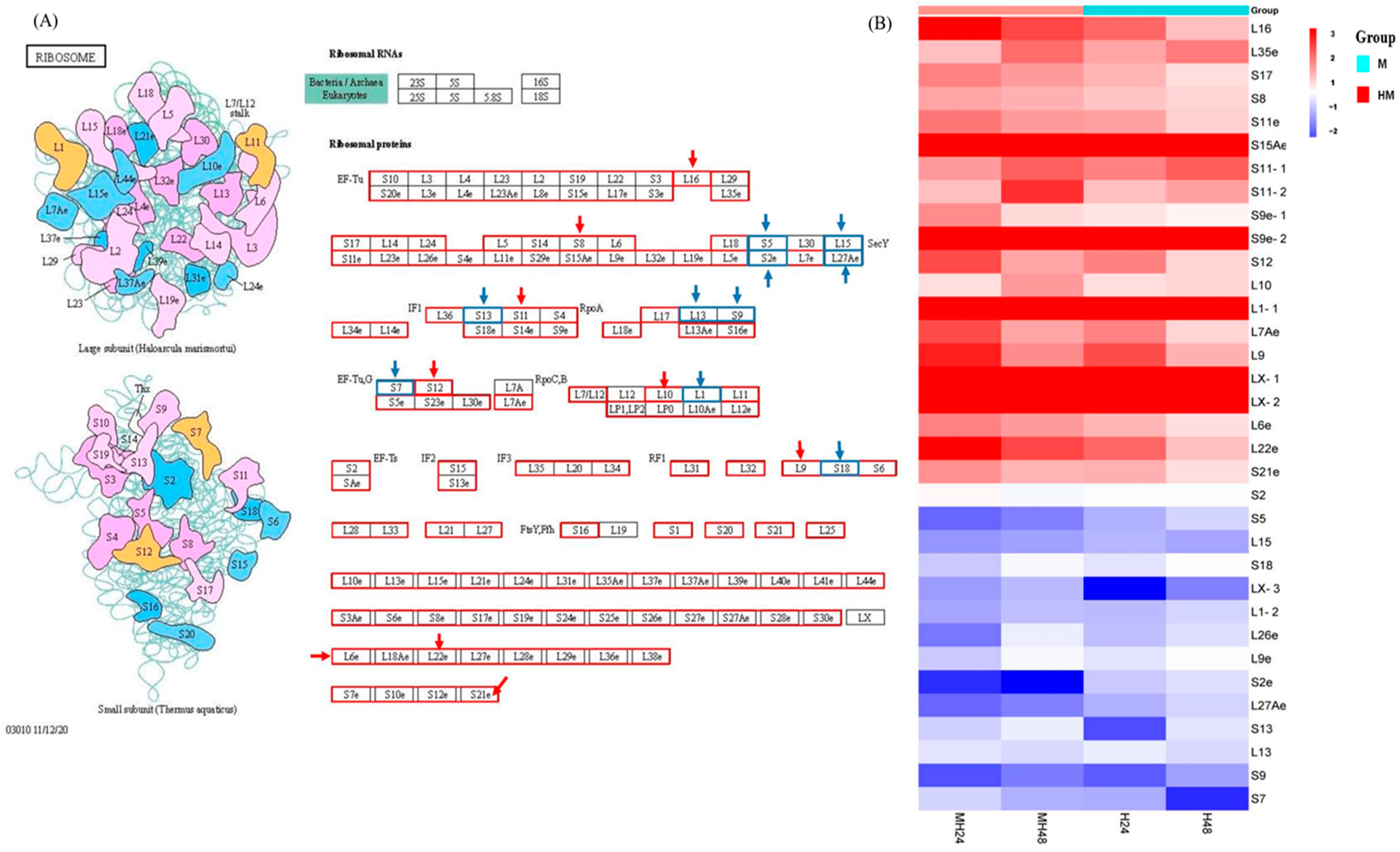 Biology 13 00725 g004