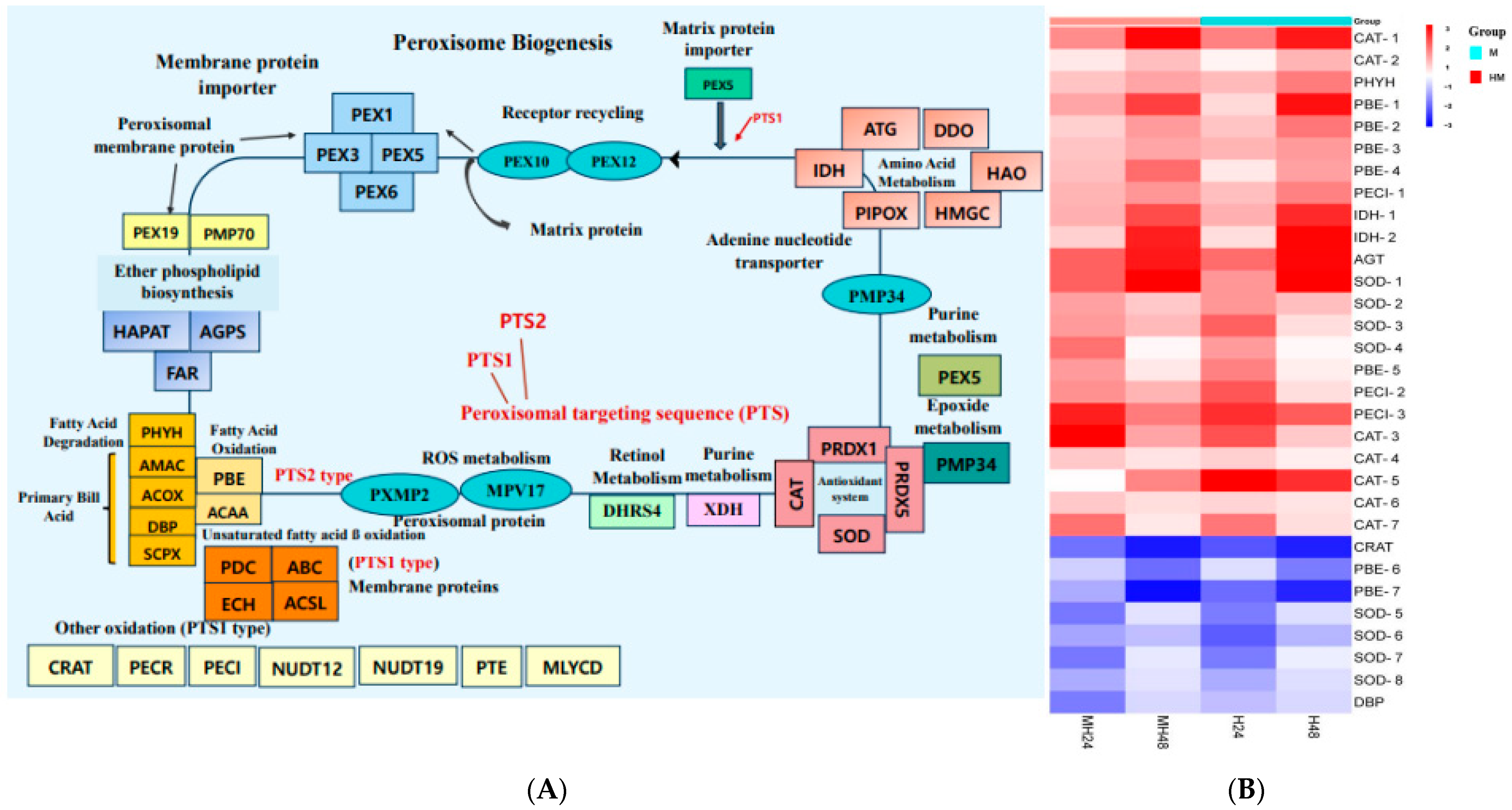 Biology 13 00725 g006
