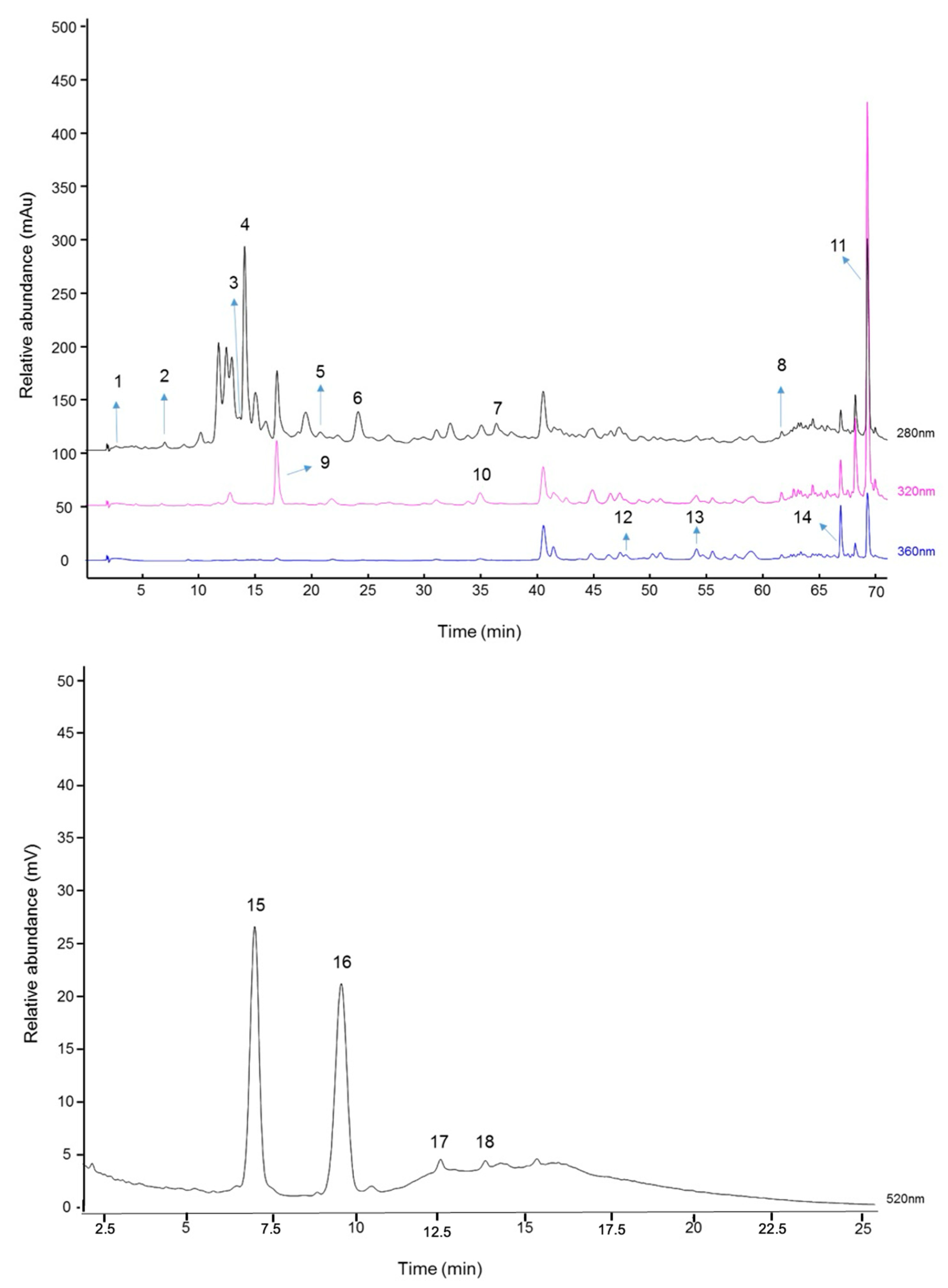 Biology 13 00729 g001