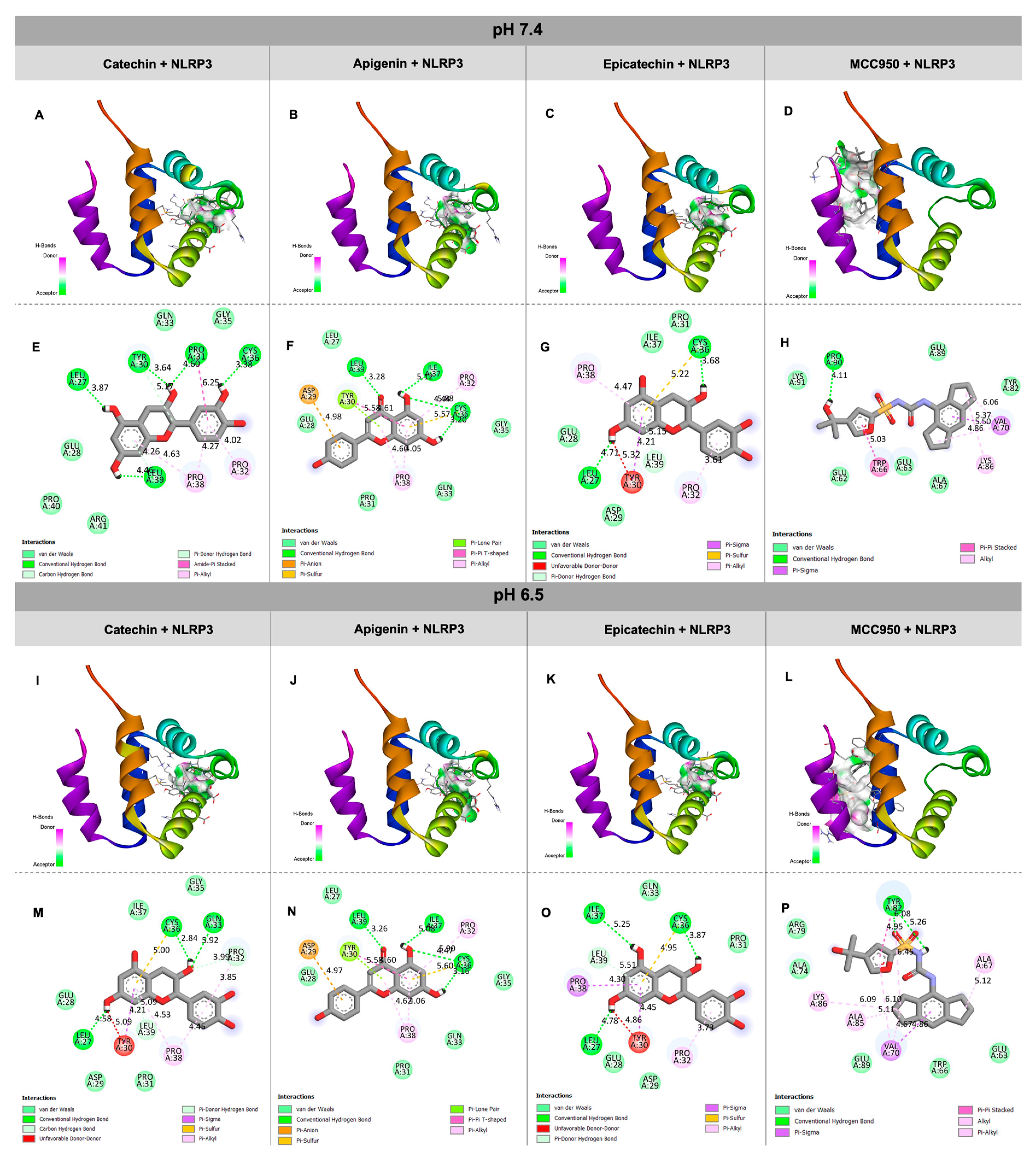 Biology 13 00729 g003