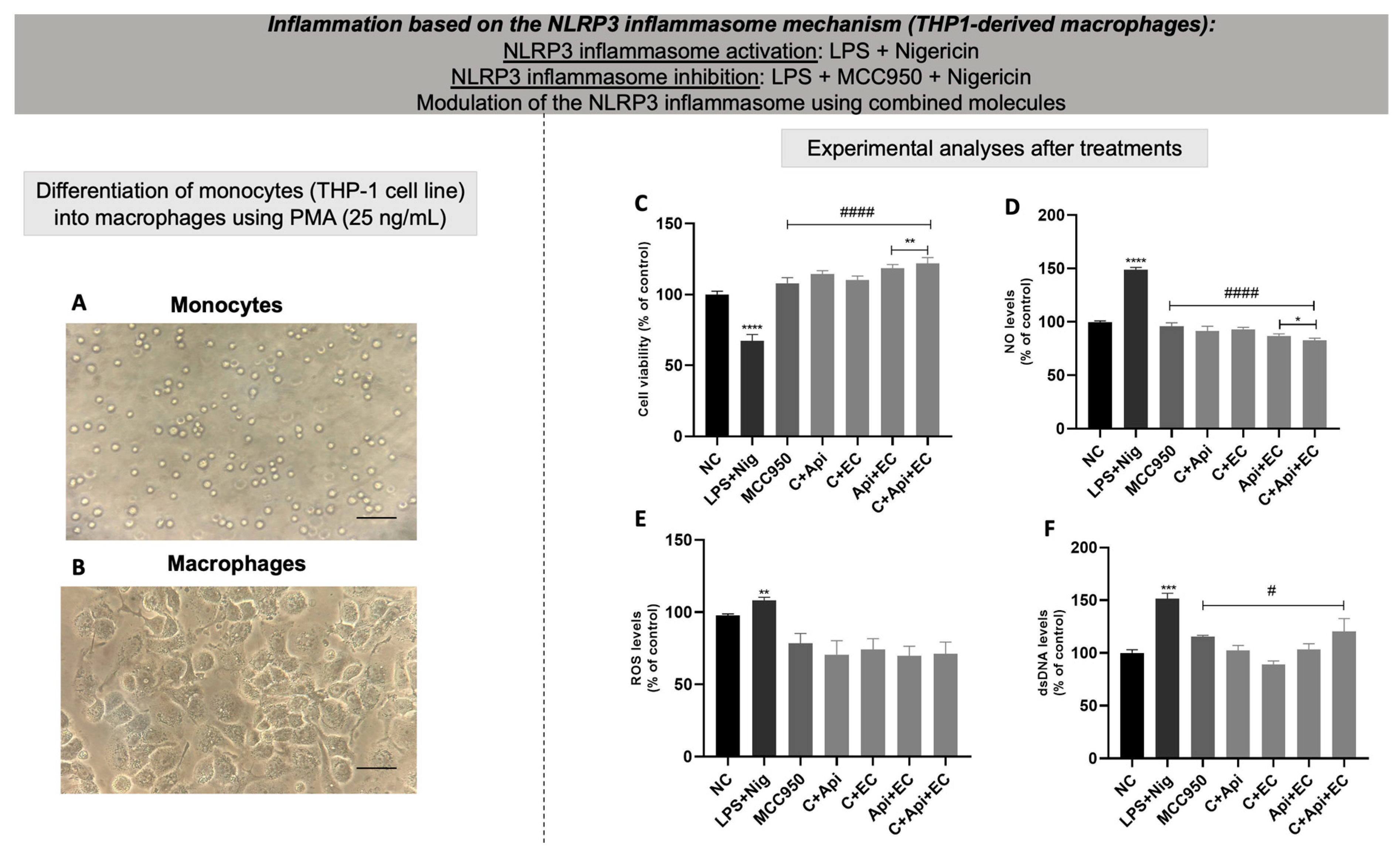 Biology 13 00729 g010