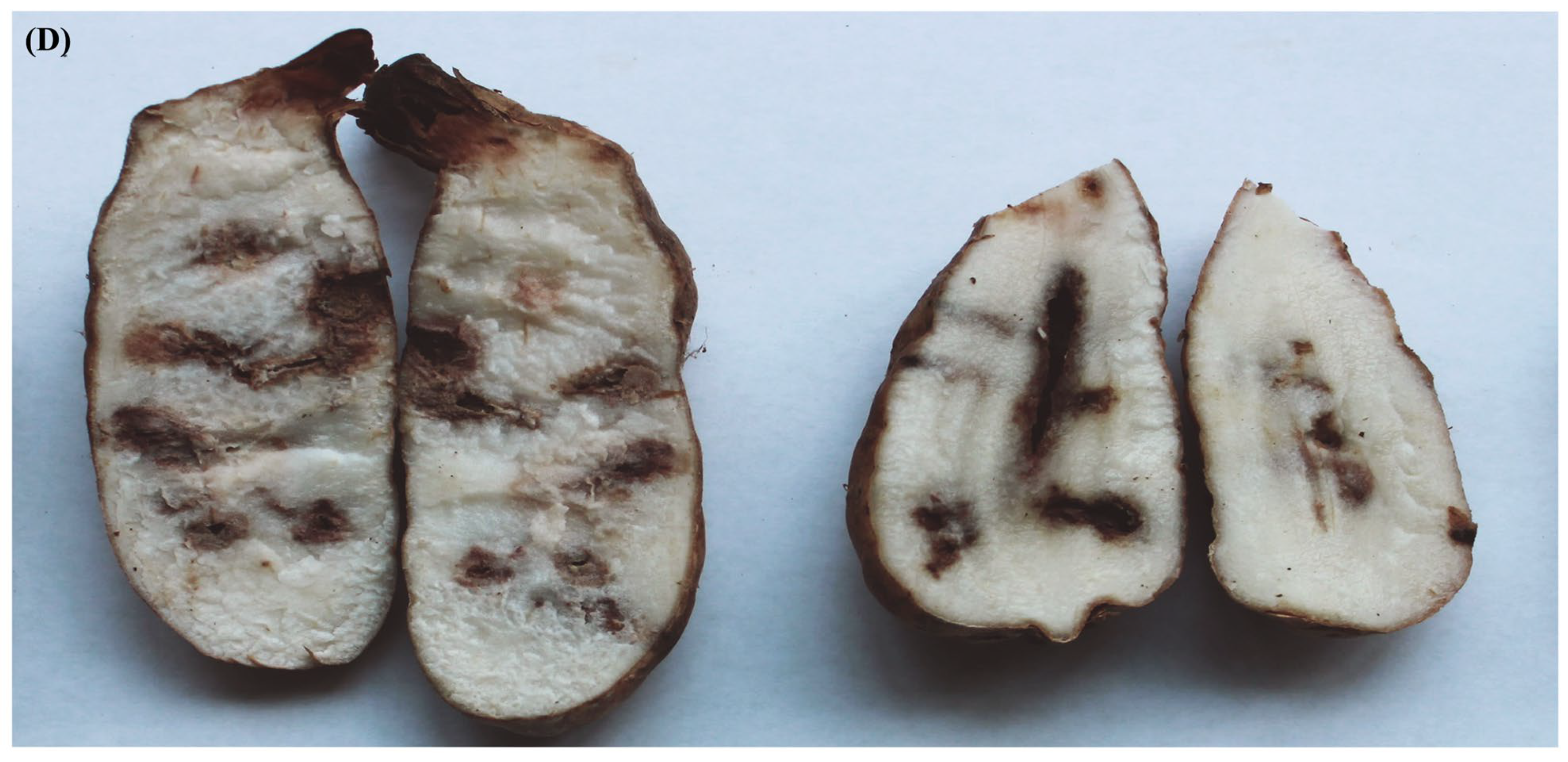 Biology 13 00730 g001b