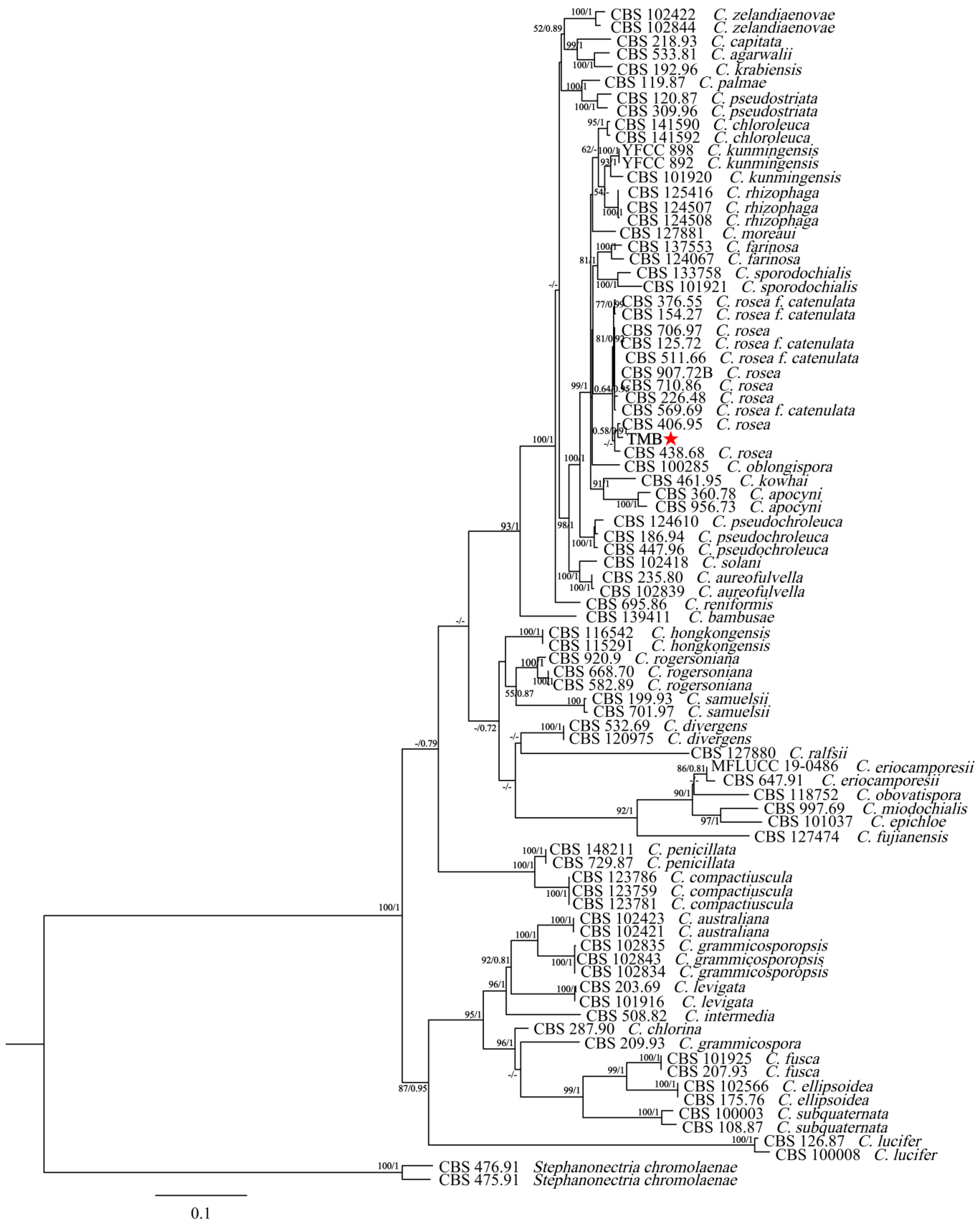 Biology 13 00730 g003