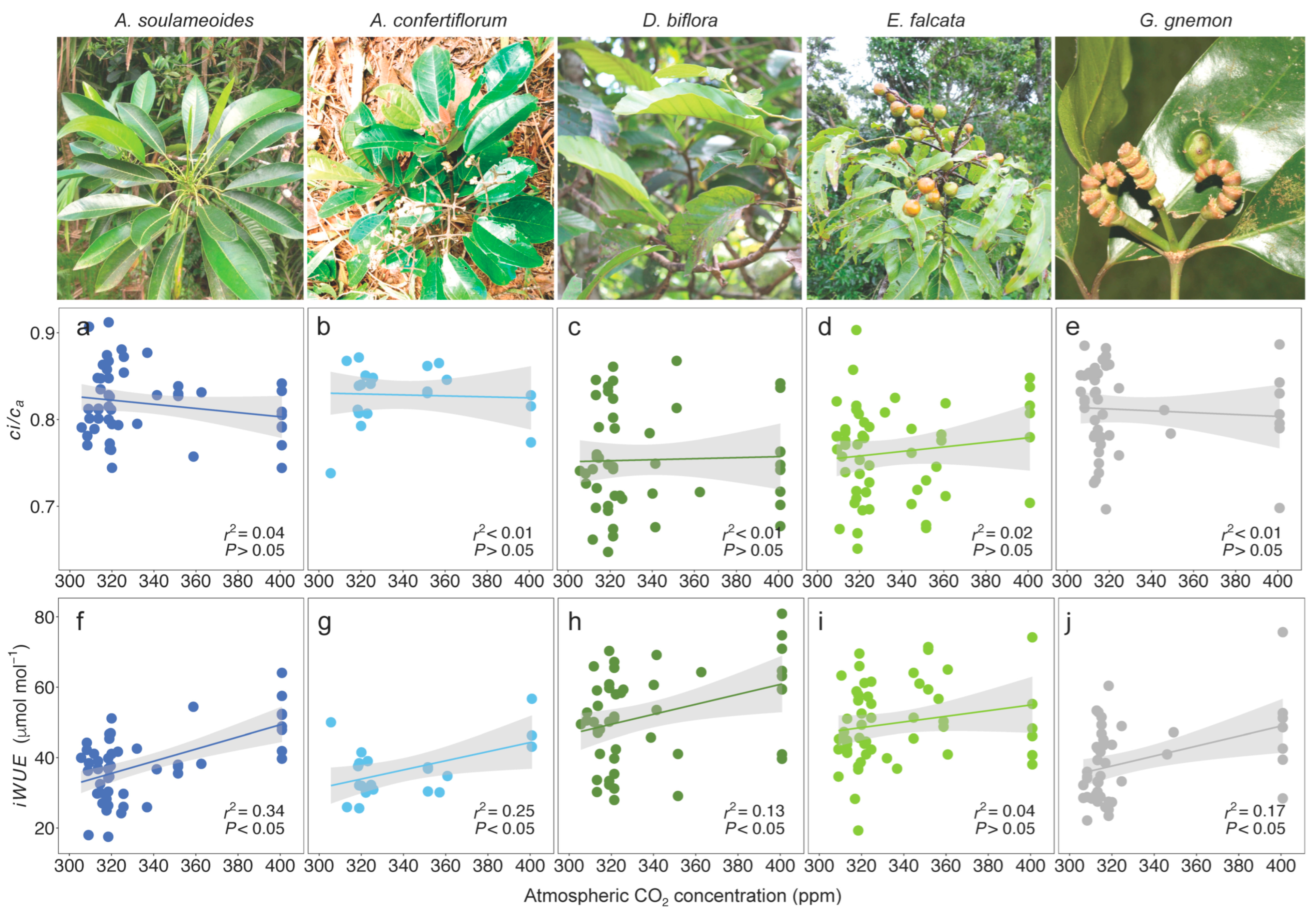 Biology 13 00733 g001