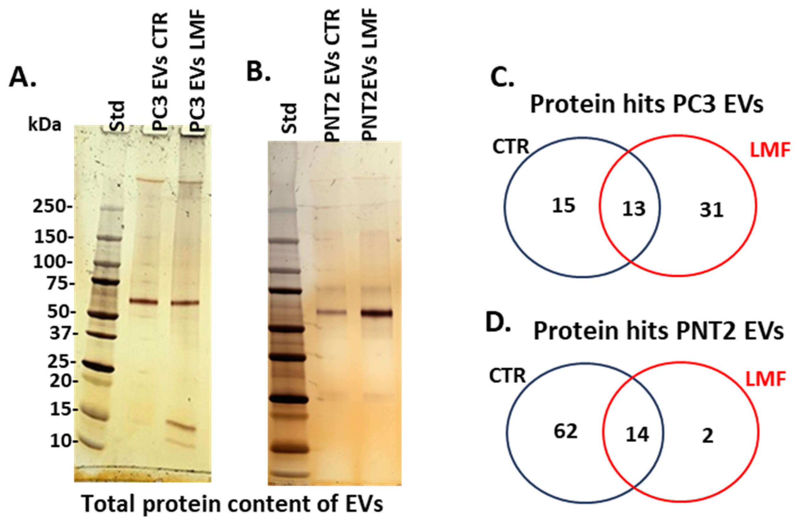 Biology 13 00734 g003