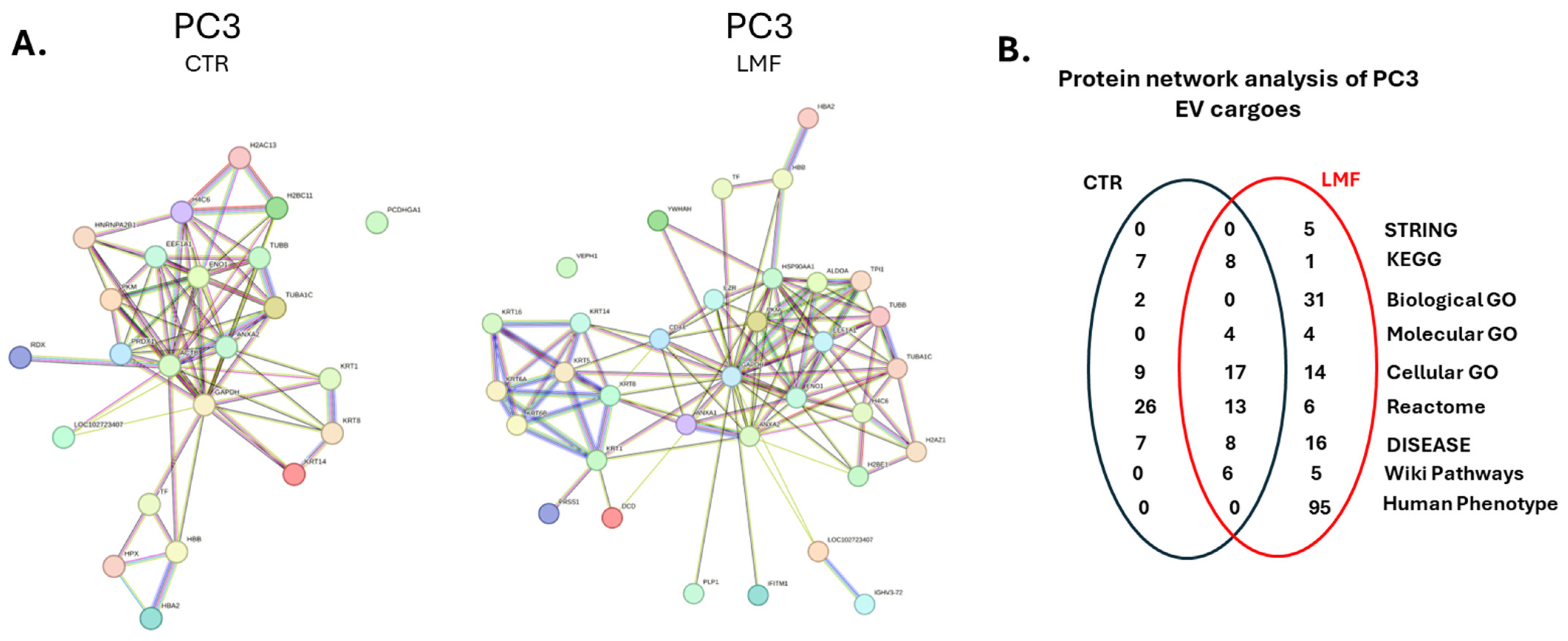 Biology 13 00734 g004