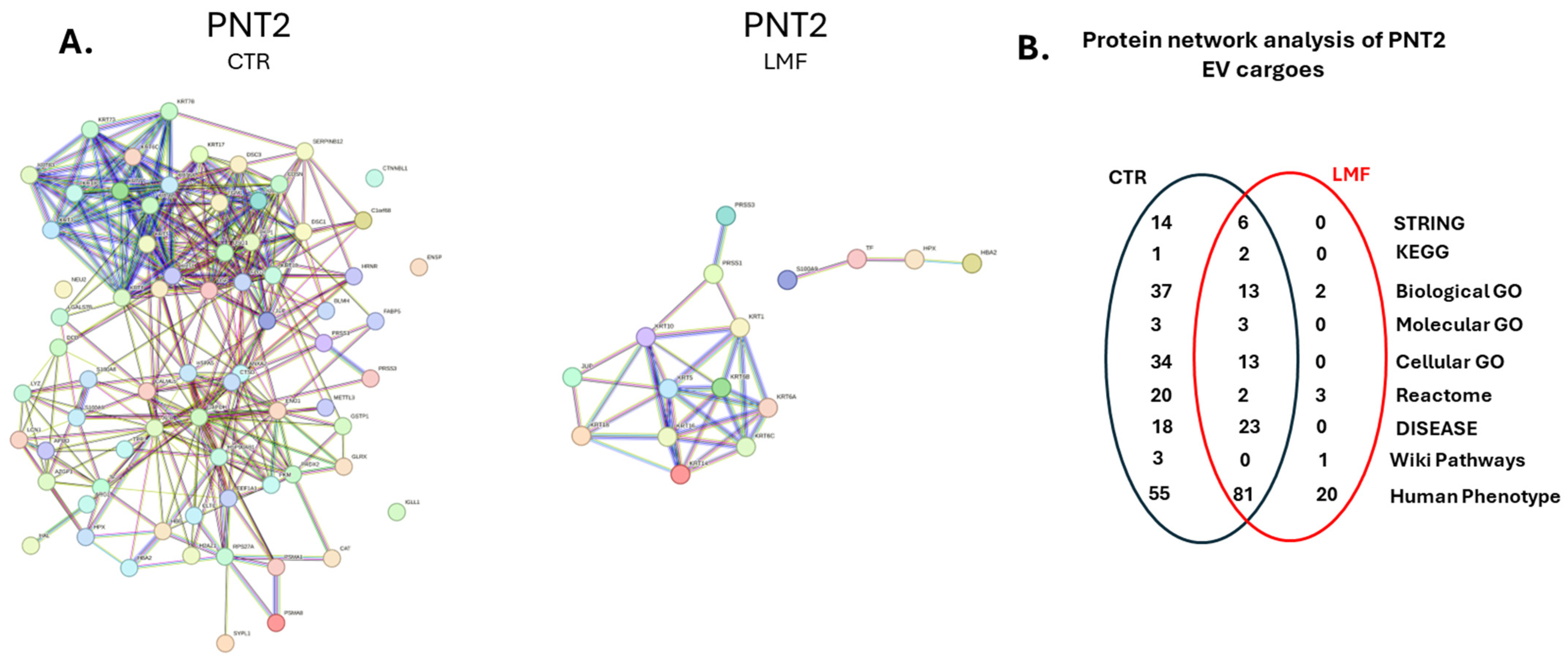 Biology 13 00734 g005