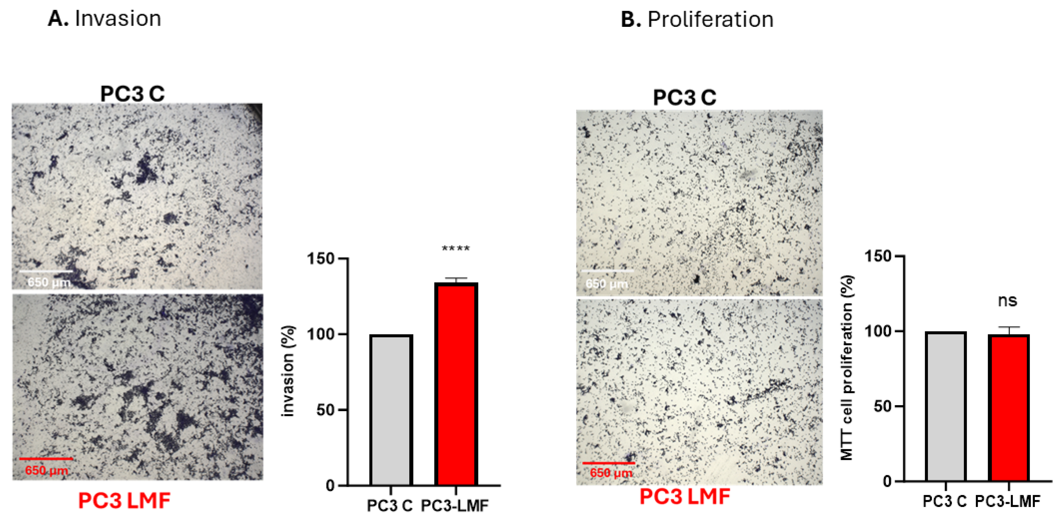 Biology 13 00734 g009