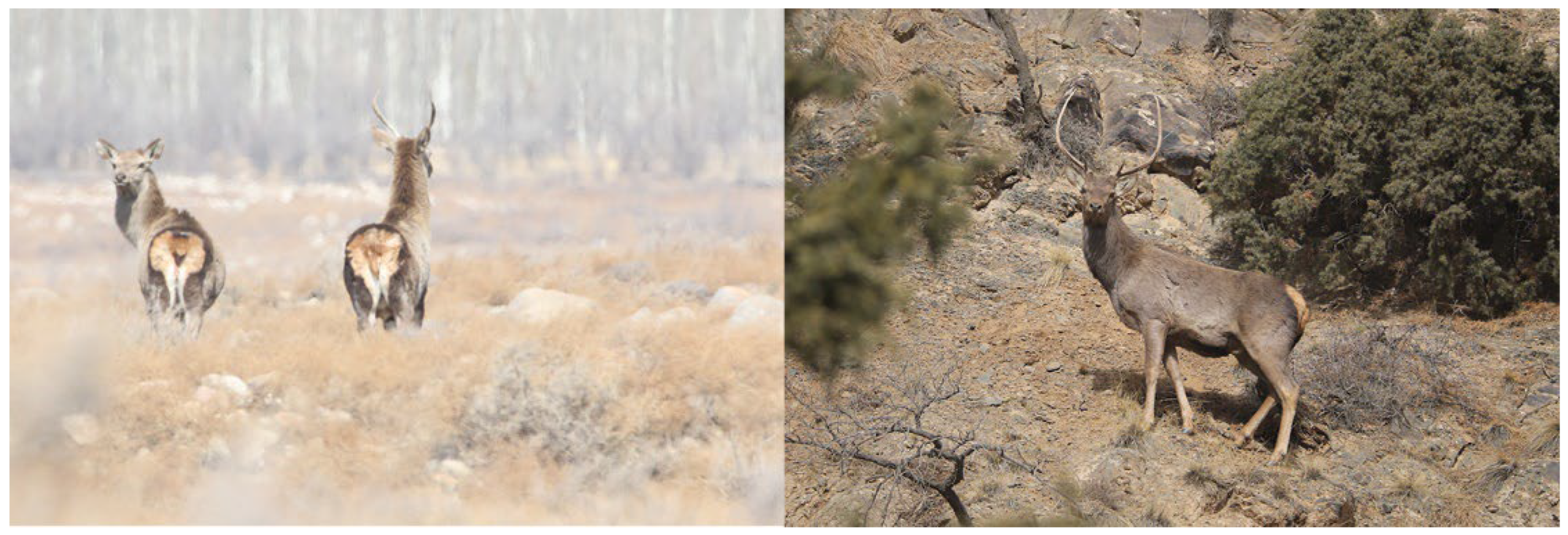 Biology 13 00737 g001