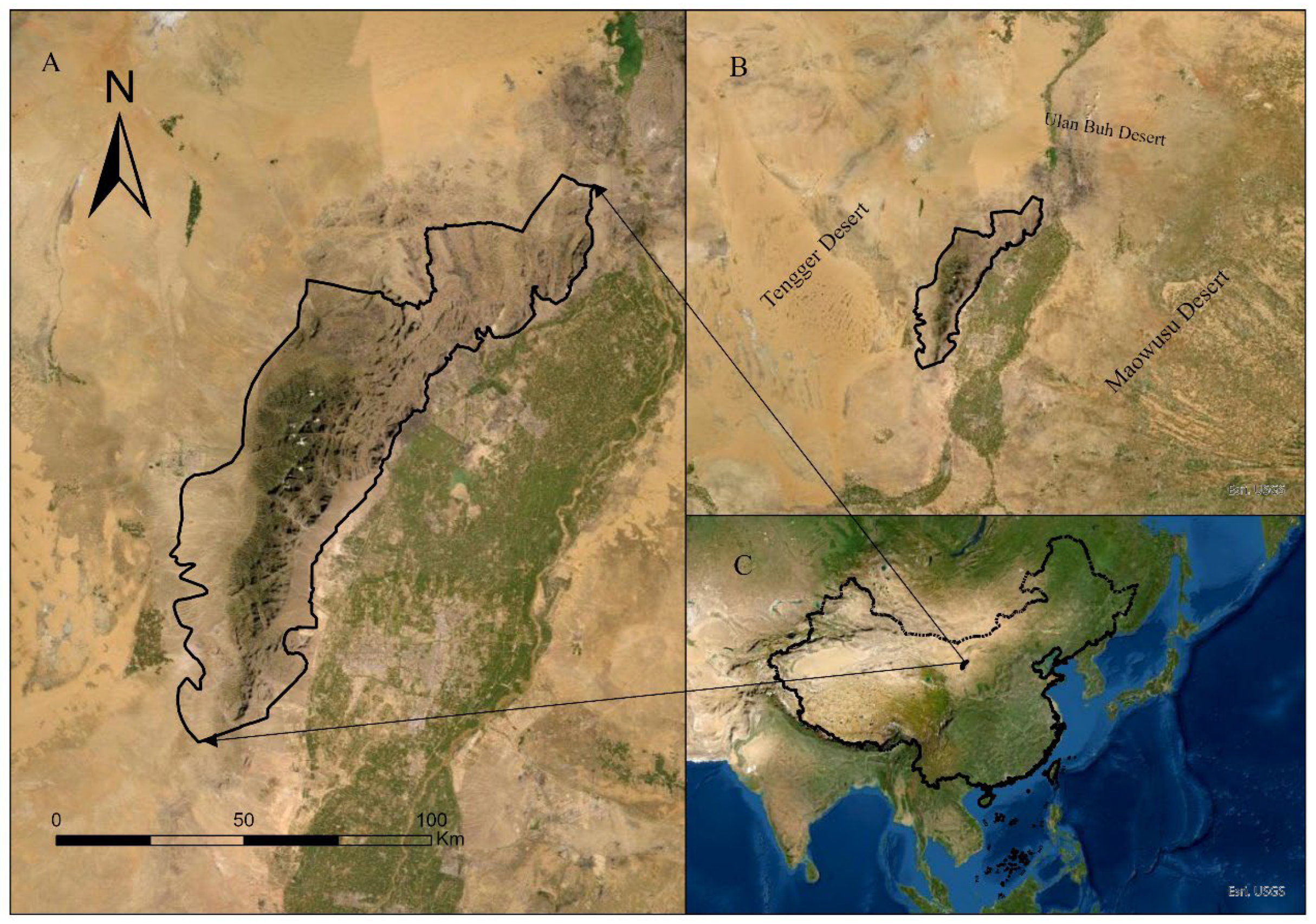 Biology 13 00737 g002